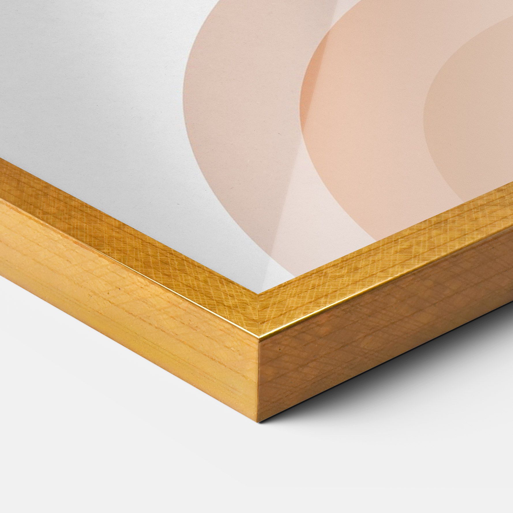 Plant Orange Circle mockup 3