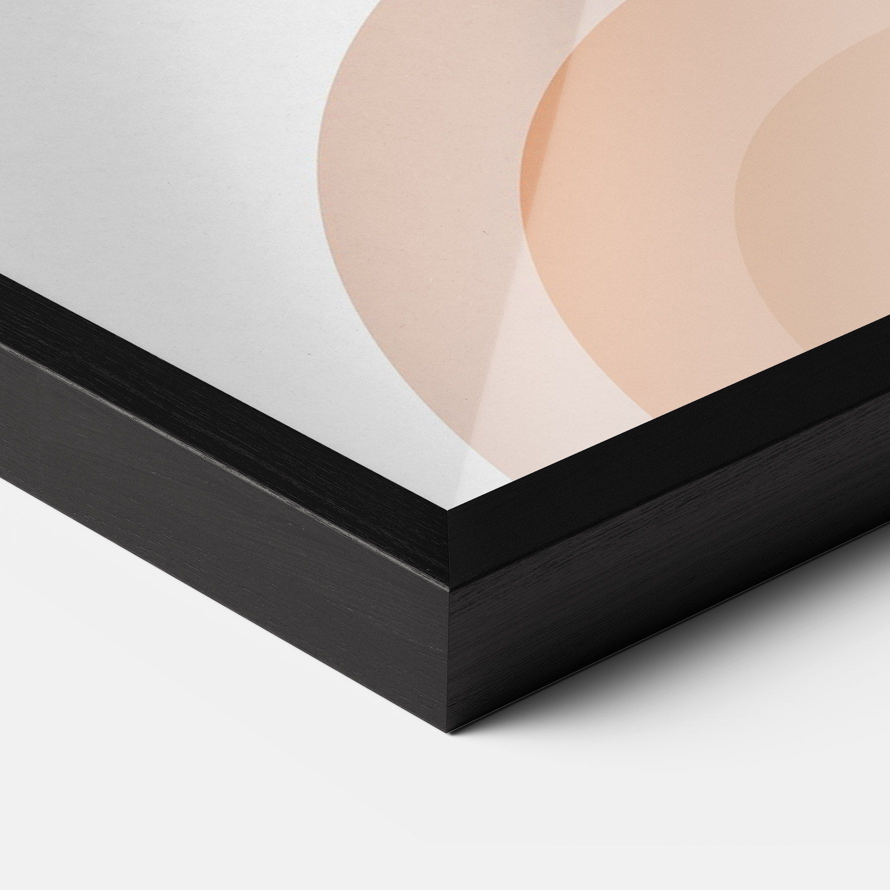 Plant Orange Circle mockup 3