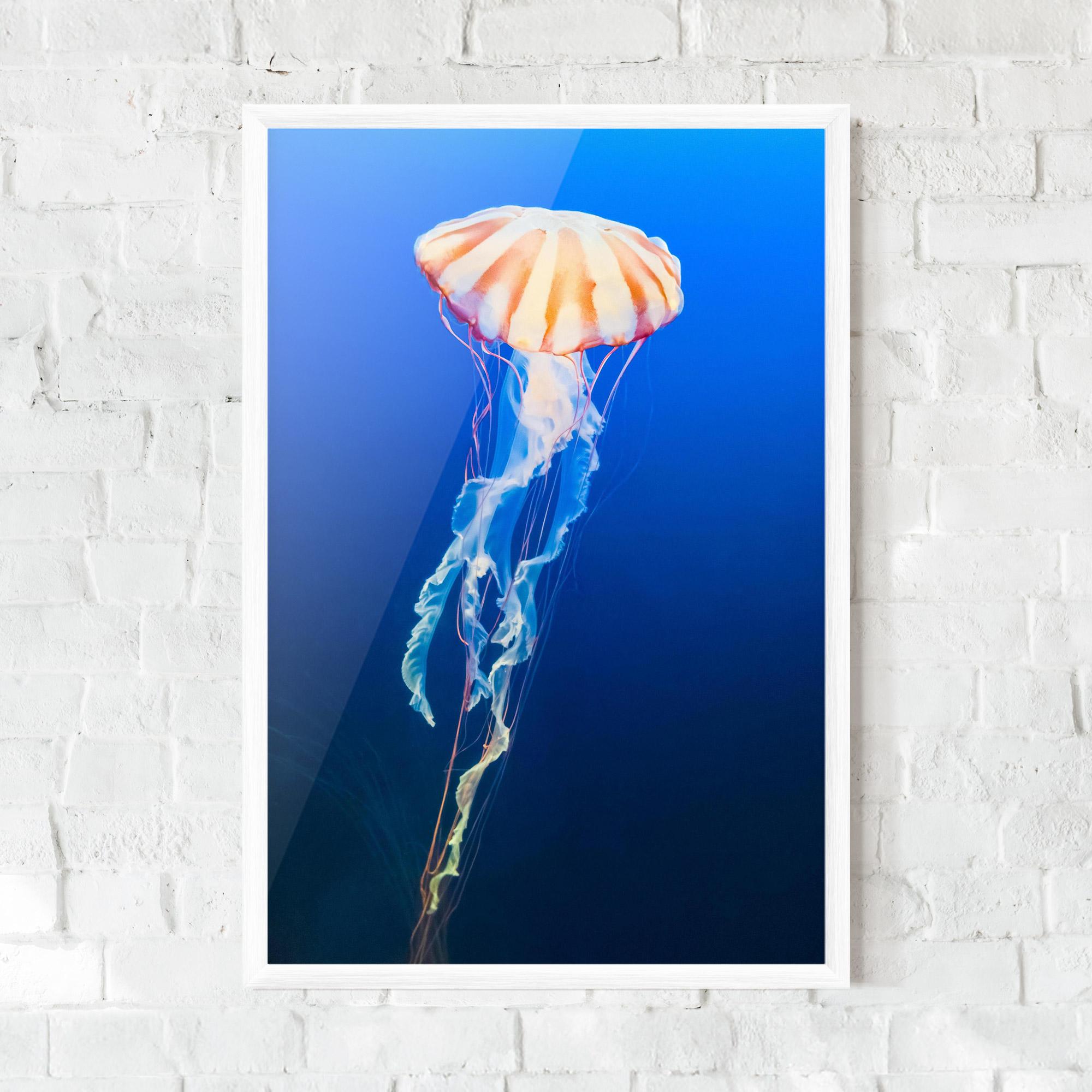 Keretezett Poszter Cream Jellyfish mockup 0