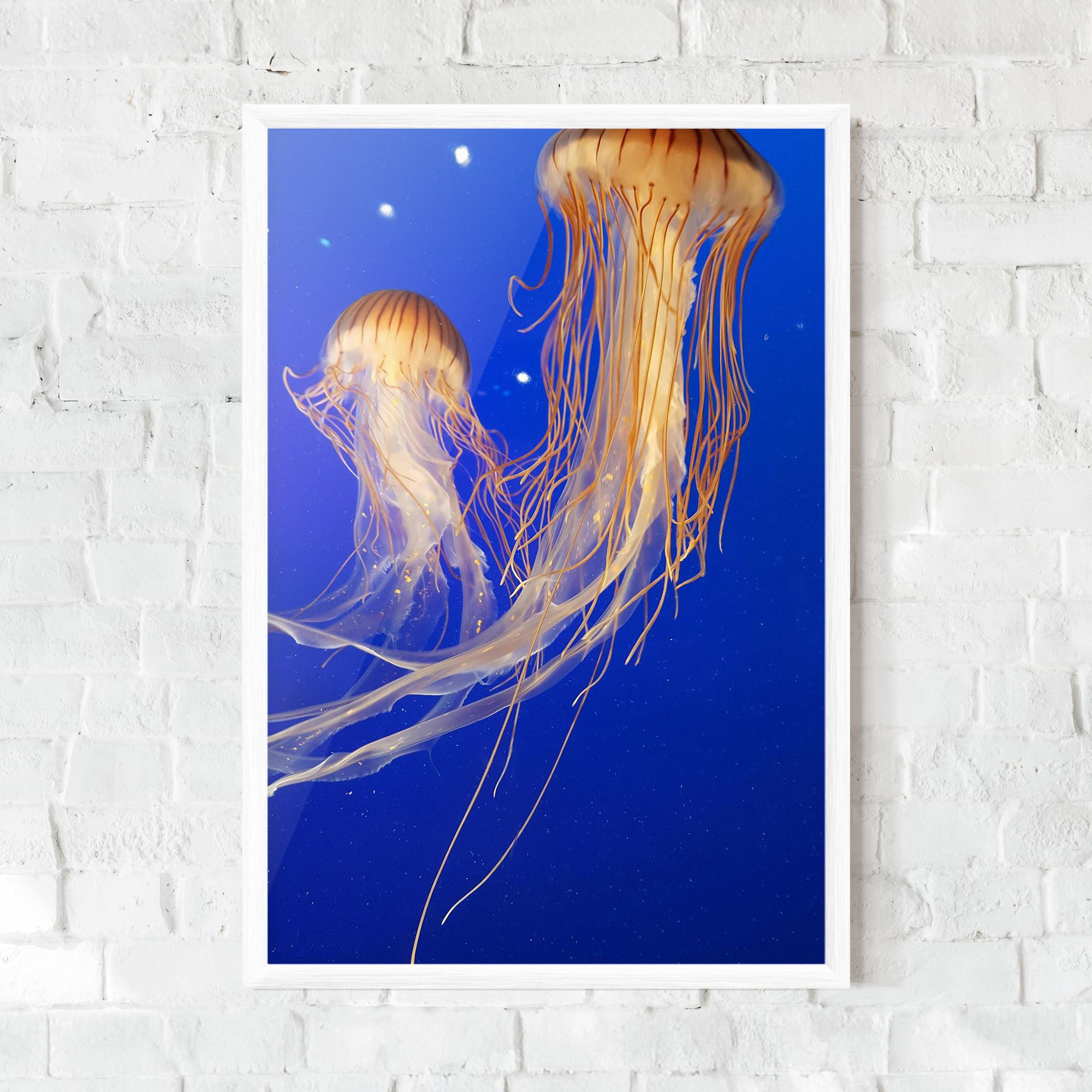 Keretezett Poszter Light Orange Jellyfish mockup 0
