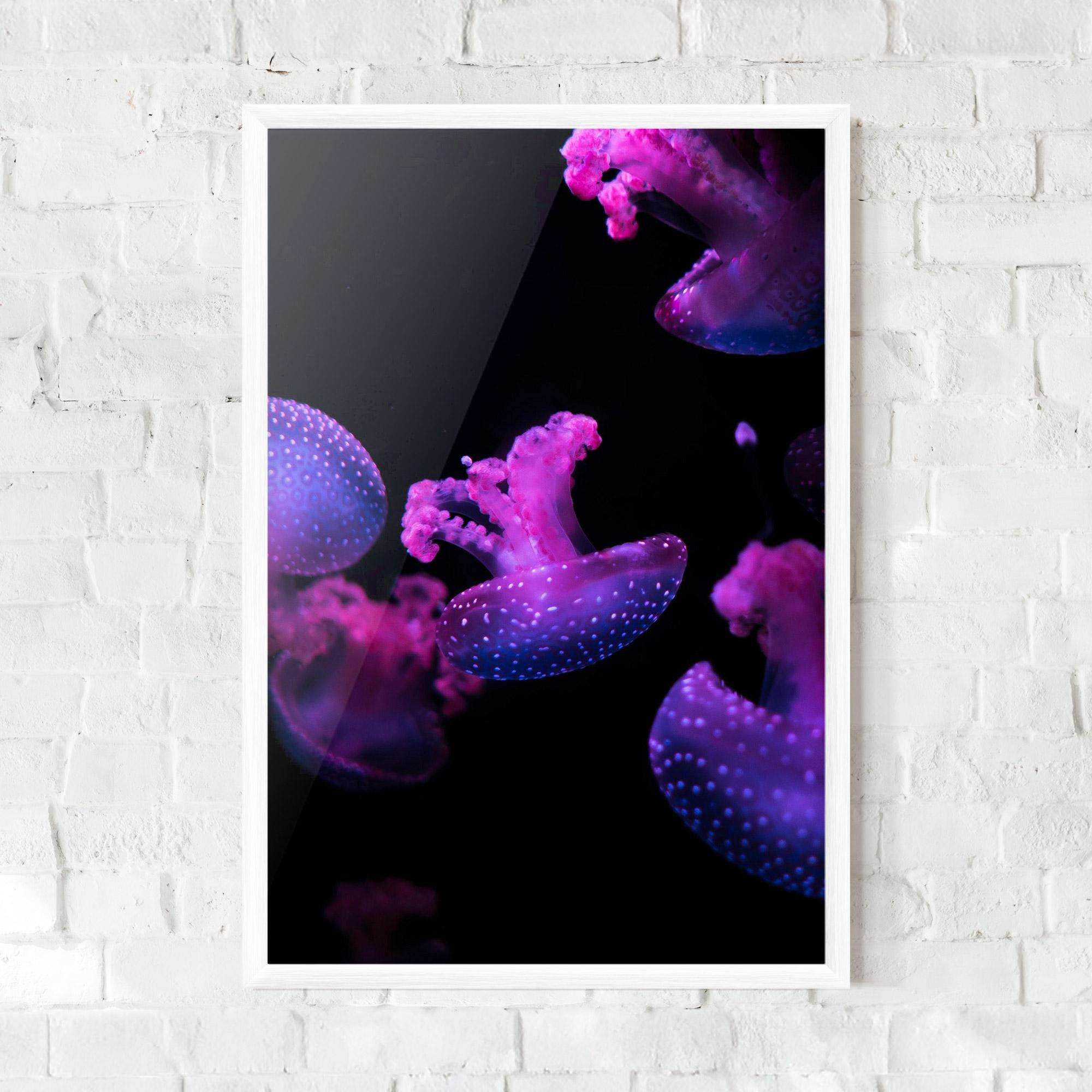 Keretezett Poszter Little Purple Jellyfish mockup 0