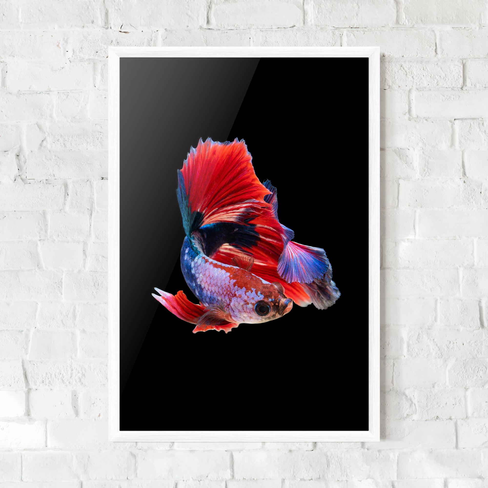 Keretezett Poszter Red Black Betta mockup 0