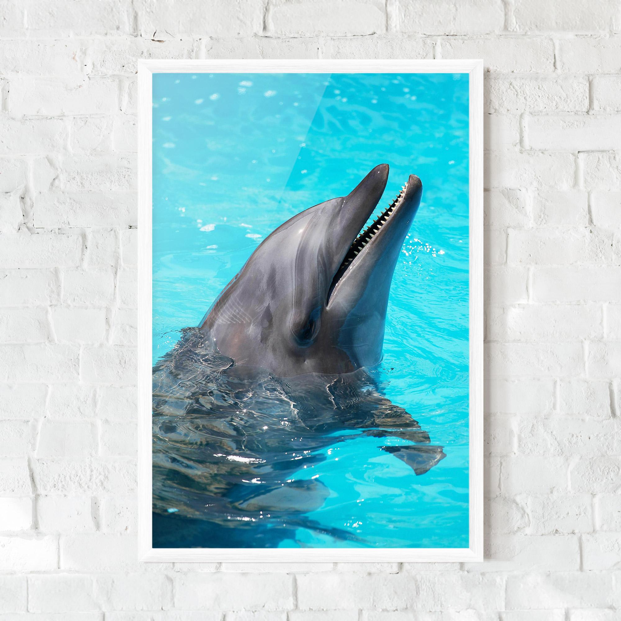 Keretezett Poszter Trained Dolphin mockup 0