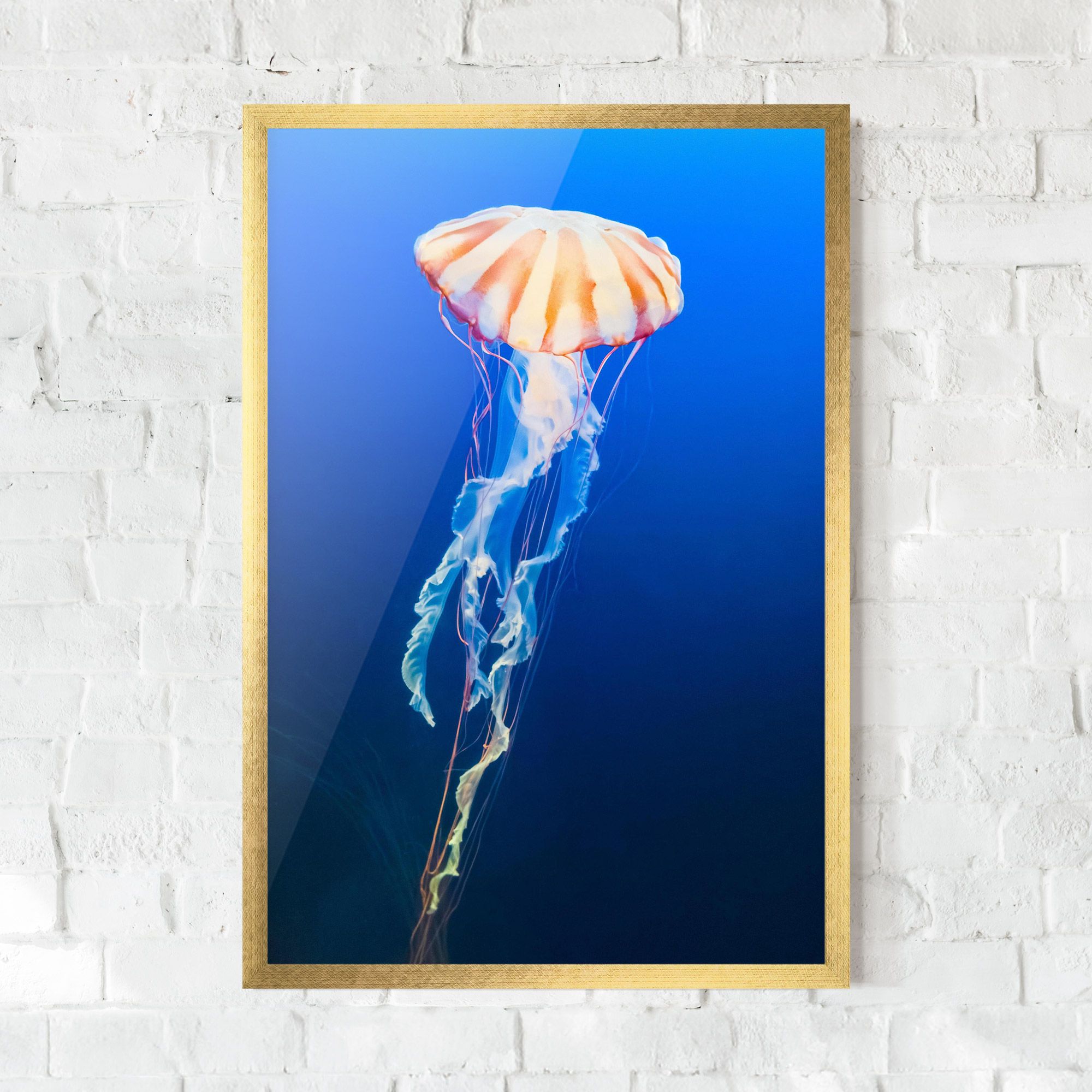 Cream Jellyfish mockup 0