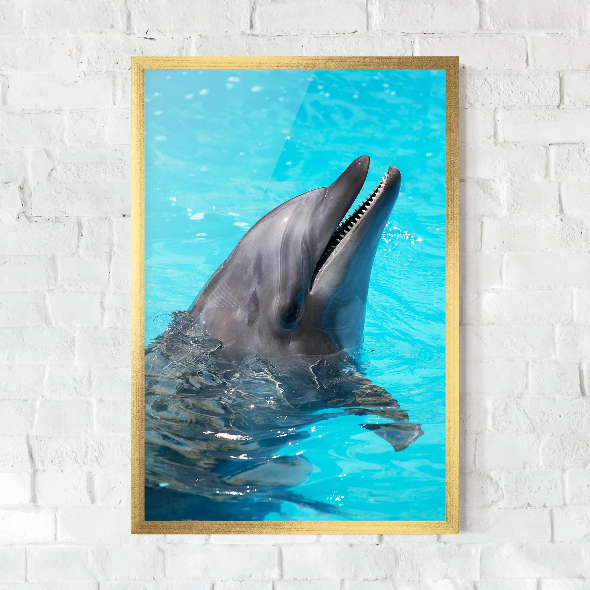 Keretezett Poszter Trained Dolphin mockup 0