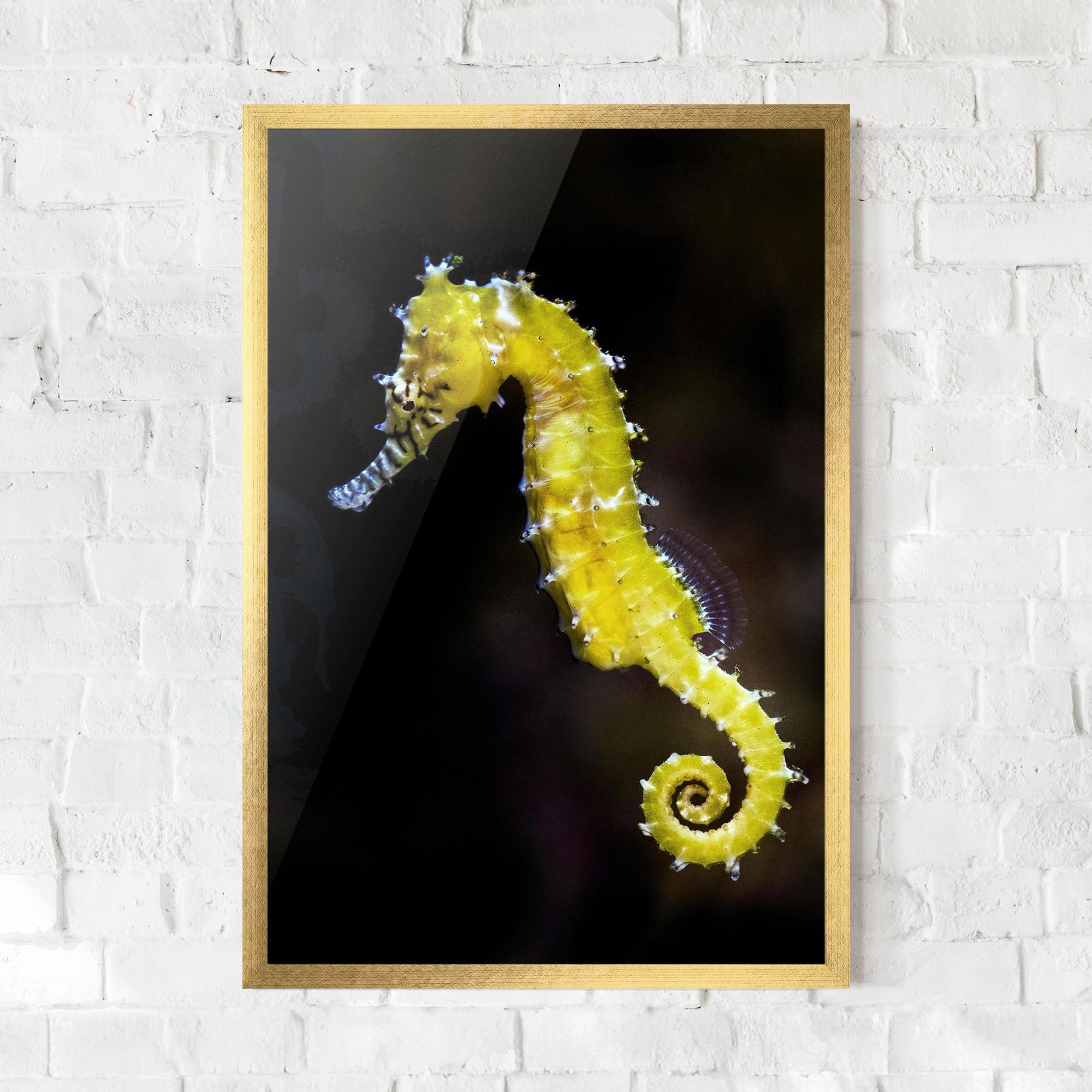 Keretezett Poszter Yellow Seahorse mockup 0