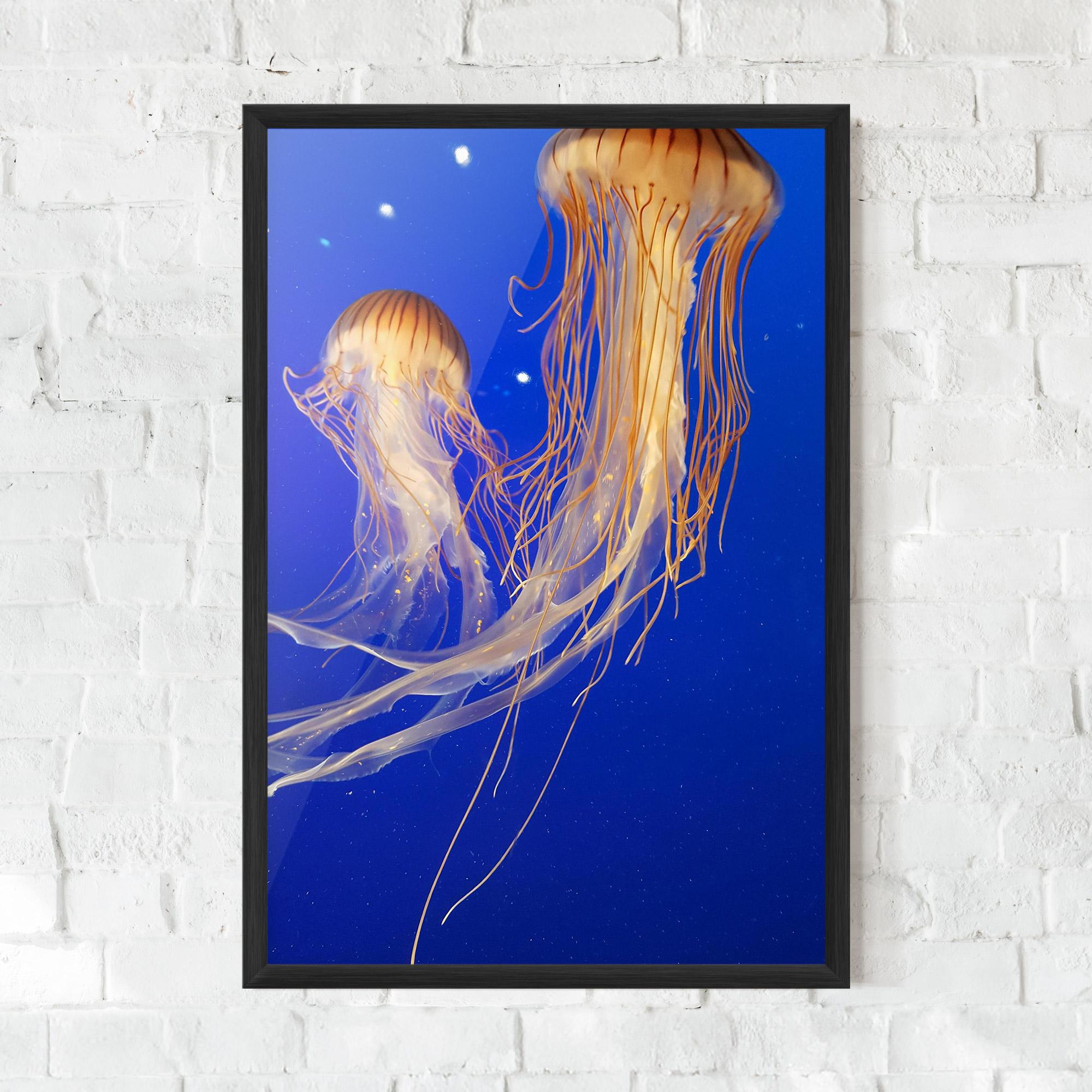 Keretezett Poszter Light Orange Jellyfish mockup 0