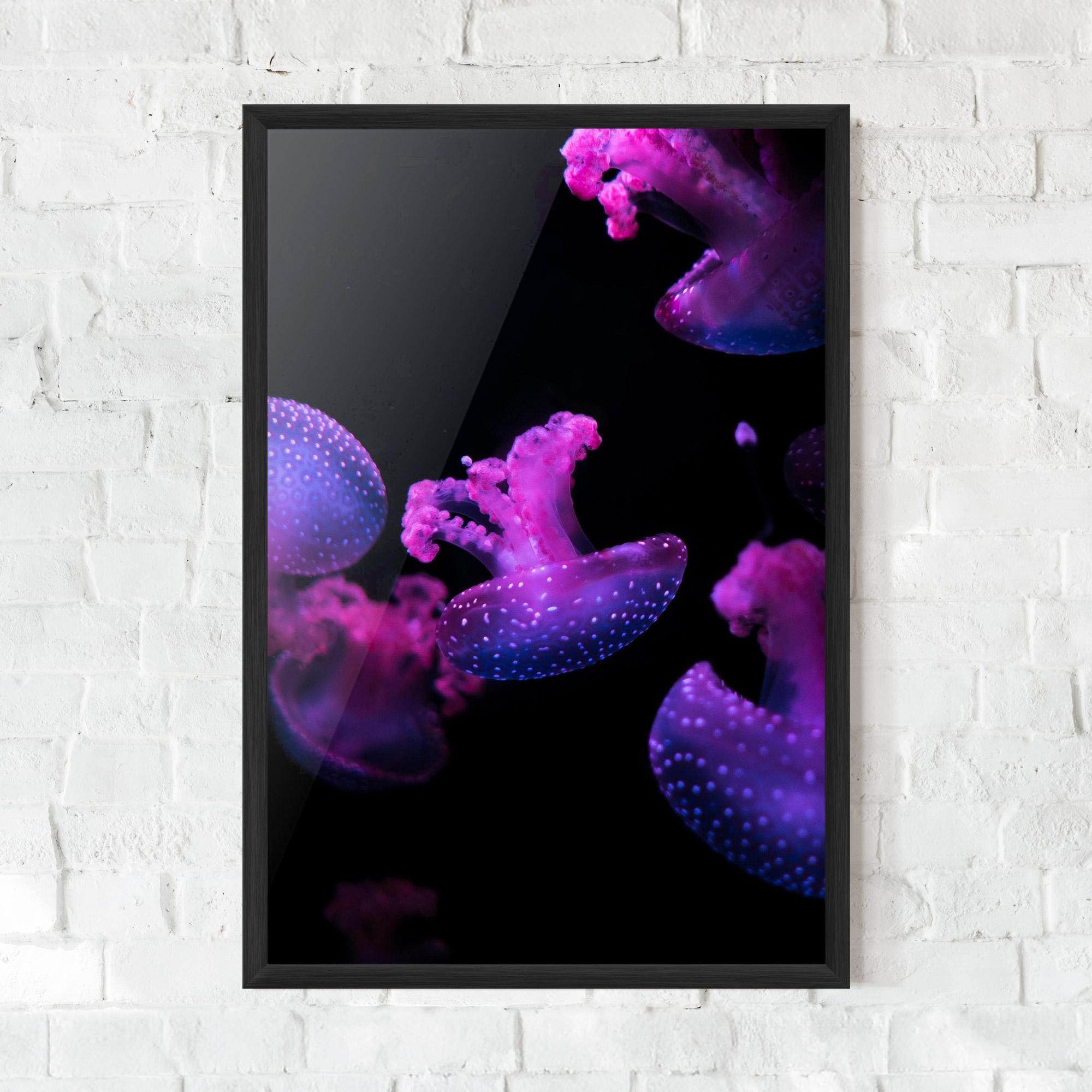 Keretezett Poszter Little Purple Jellyfish mockup 0