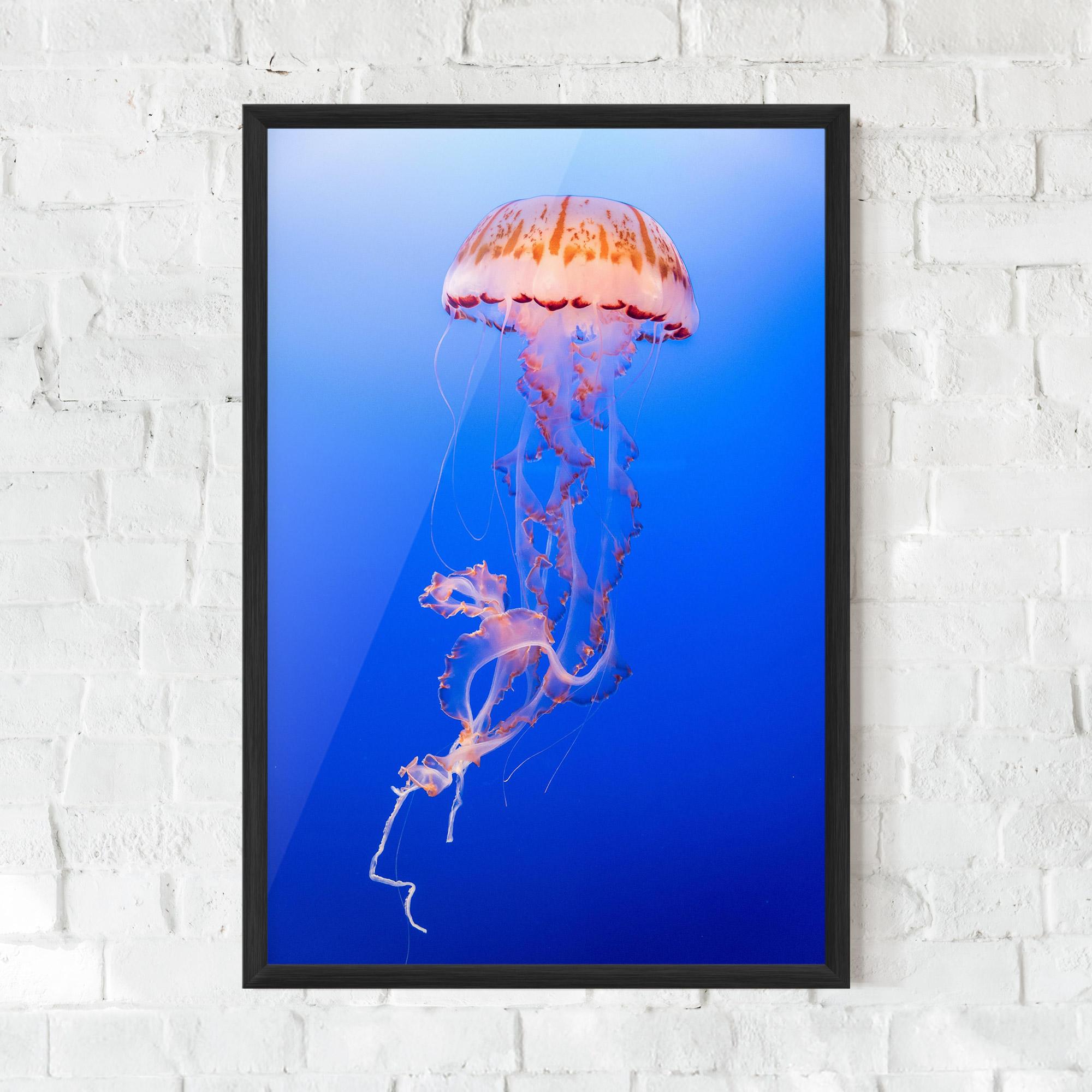 Keretezett Poszter Pretty White Jellyfish mockup 0