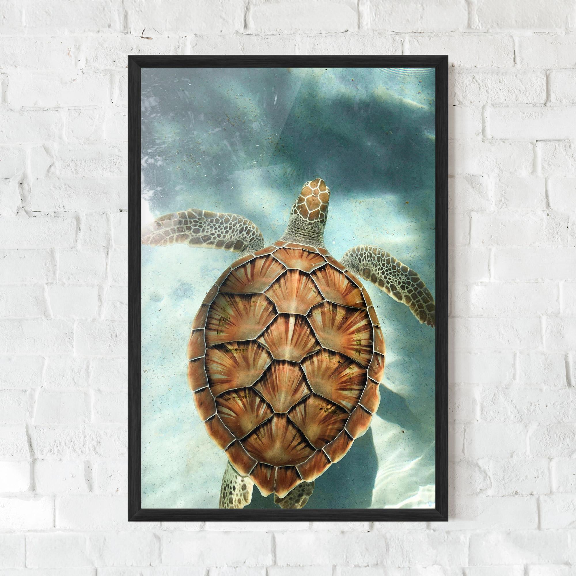 Keretezett Poszter Water Tortoise mockup 0