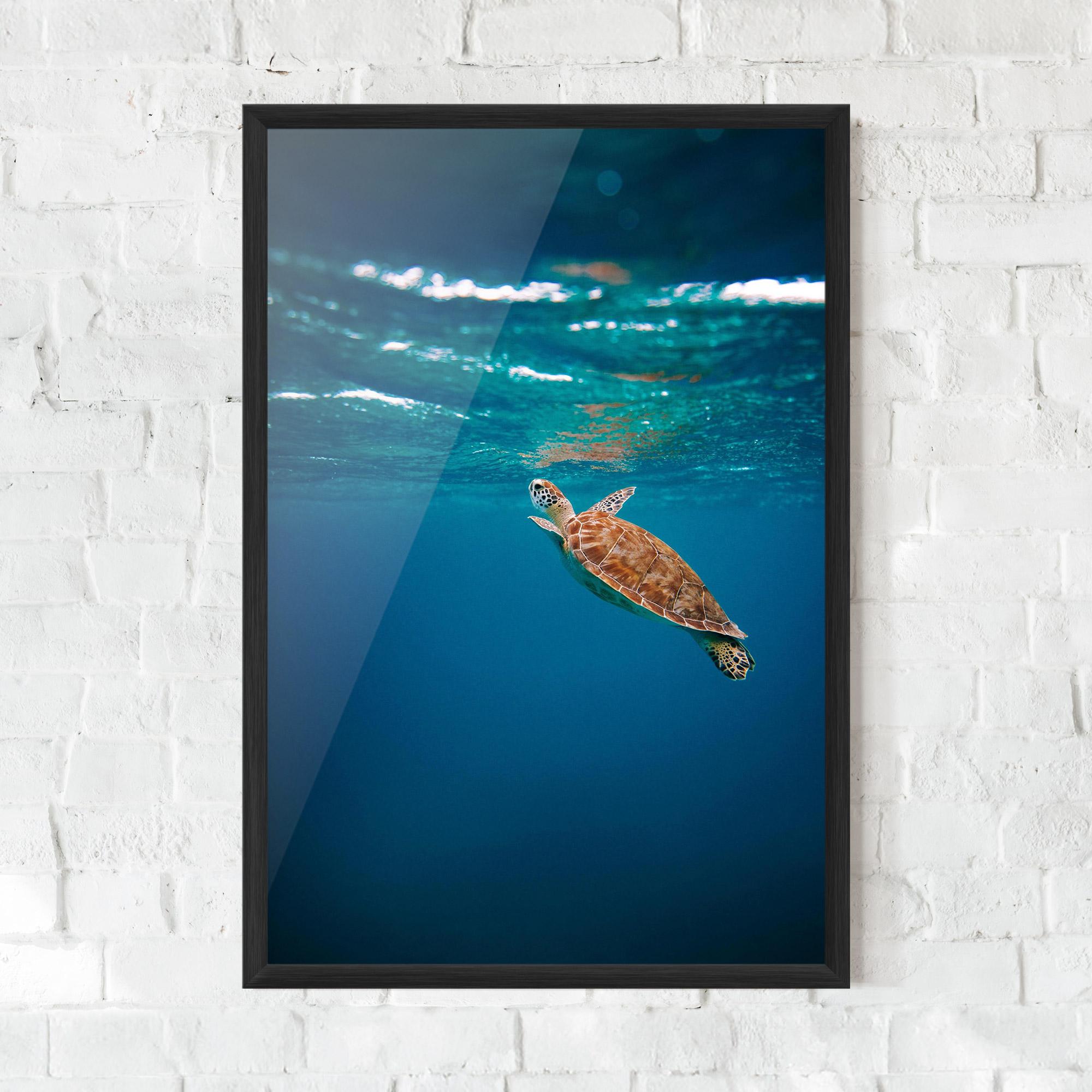 Keretezett Poszter Water Turtle mockup 0