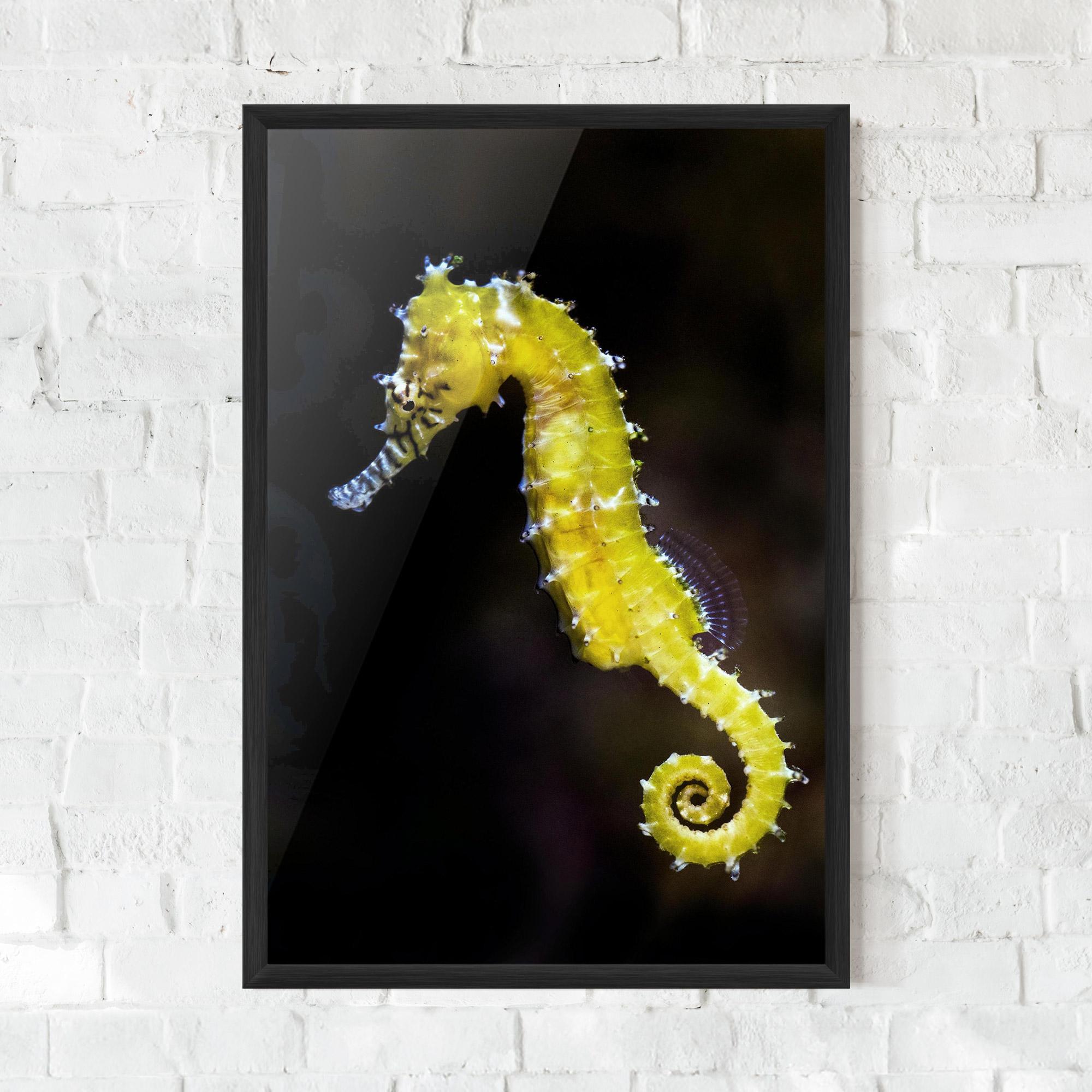 Keretezett Poszter Yellow Seahorse mockup 0