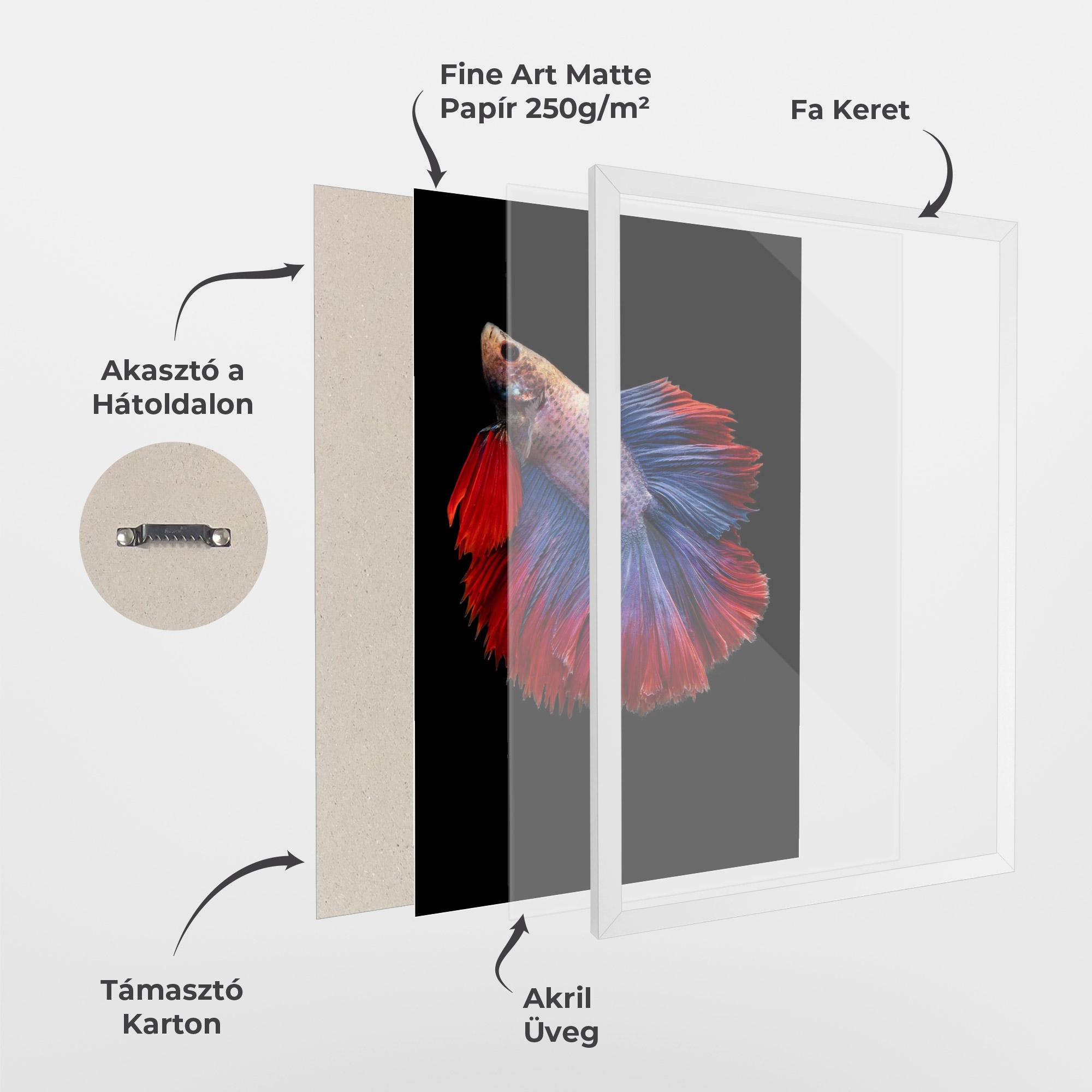 Keretezett Poszter Red Blue Betta mockup 1