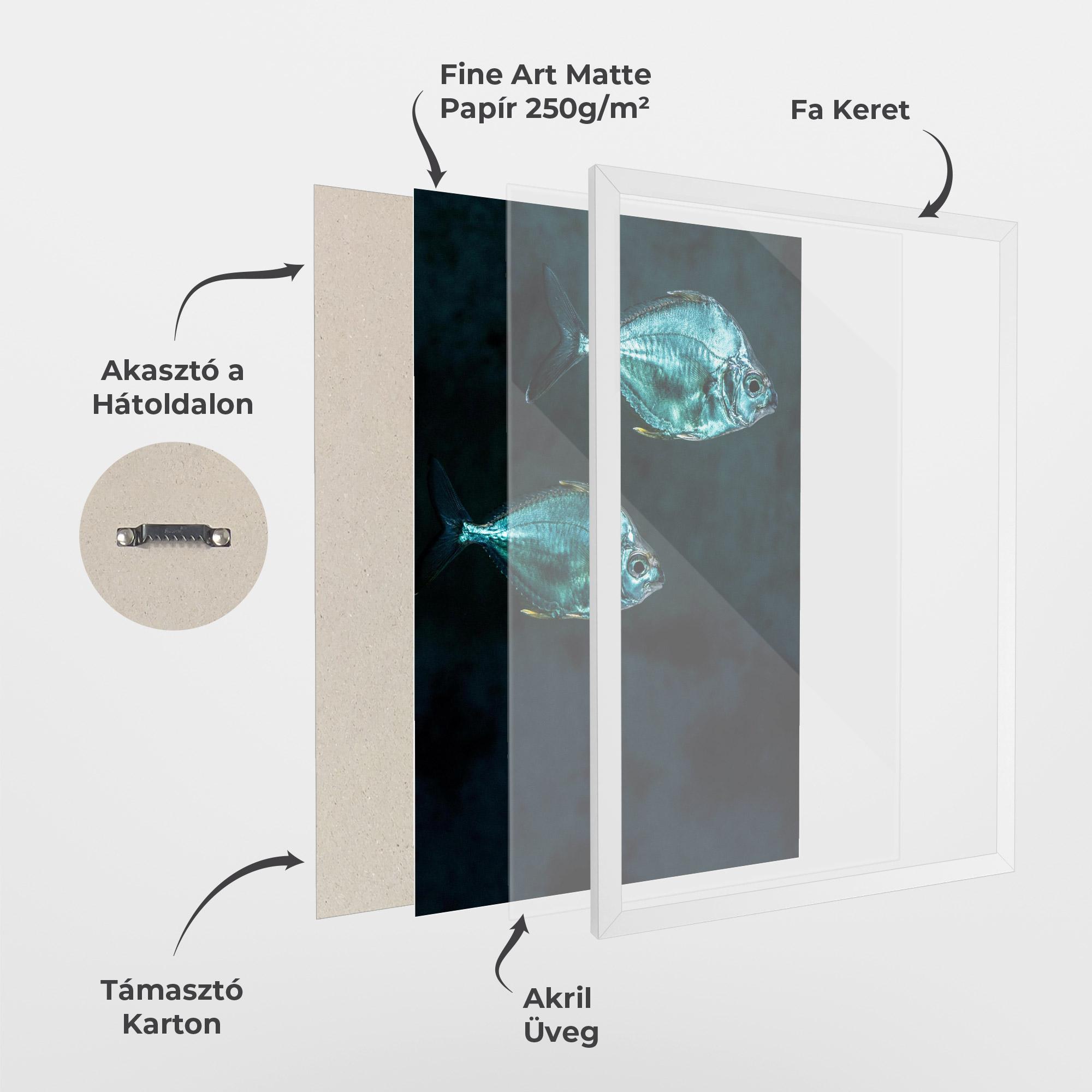 Keretezett Poszter Silver Fish mockup 1
