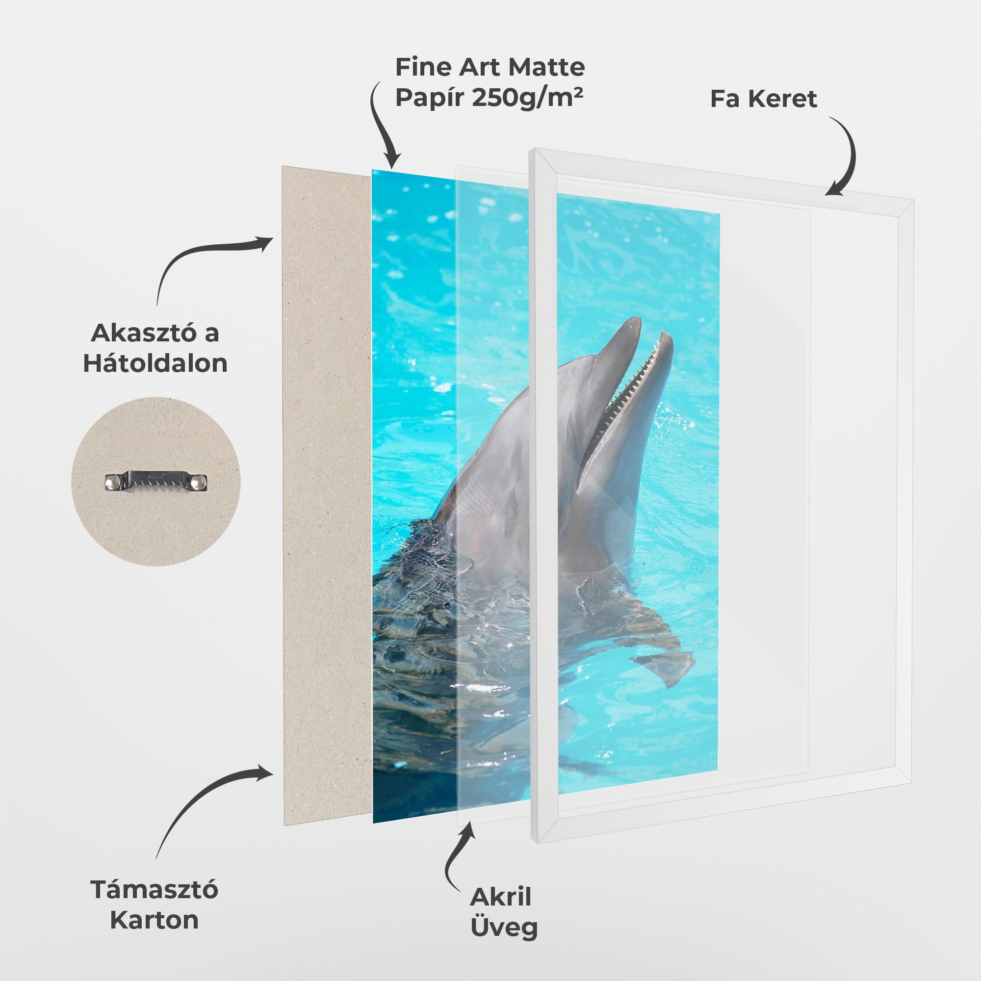 Keretezett Poszter Trained Dolphin mockup 1
