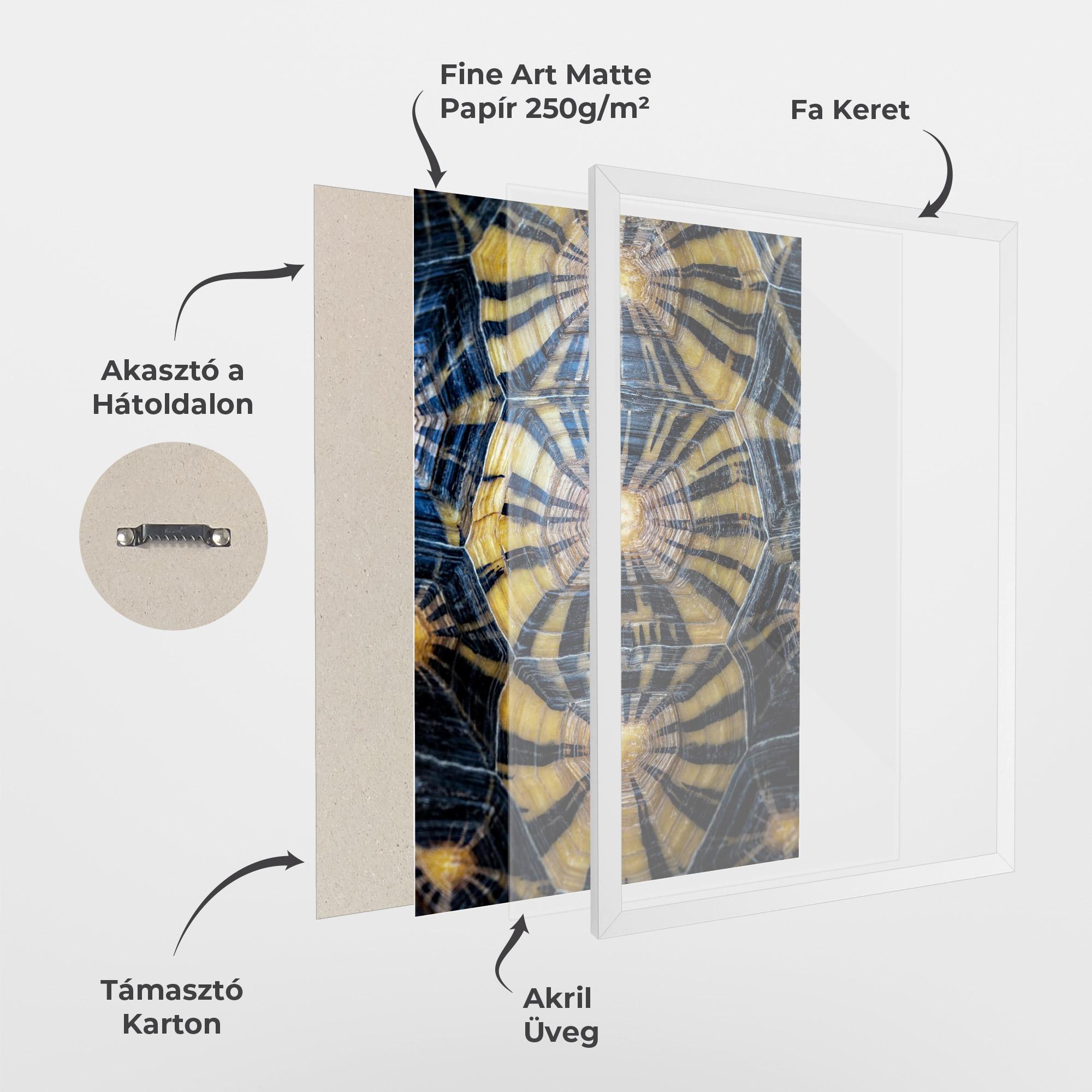 Keretezett Poszter Turtle Shell mockup 1