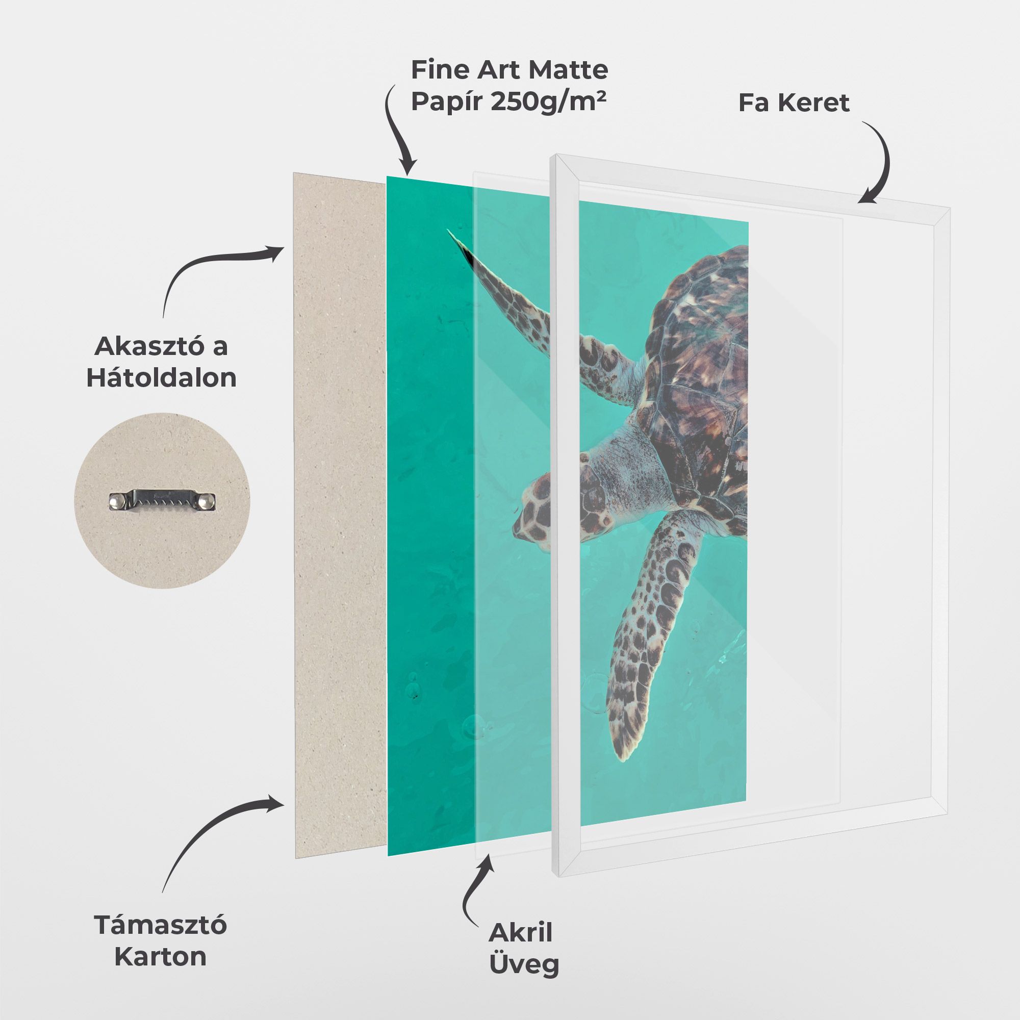 Turtle Sweeming mockup 1