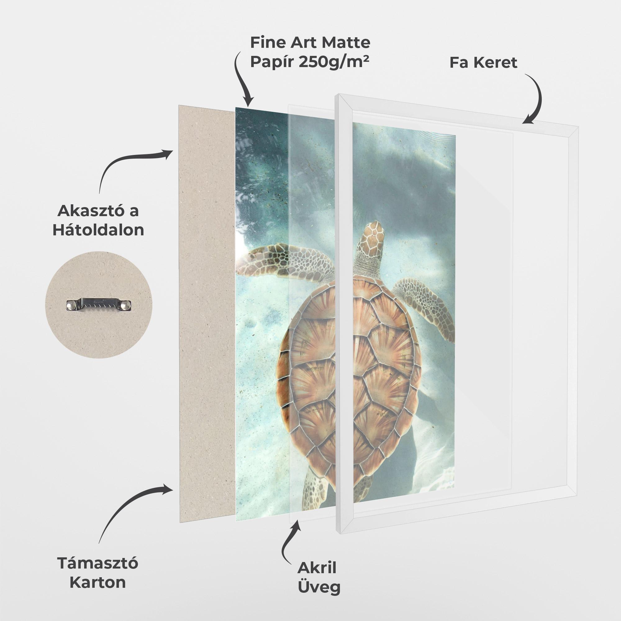 Keretezett Poszter Water Tortoise mockup 1