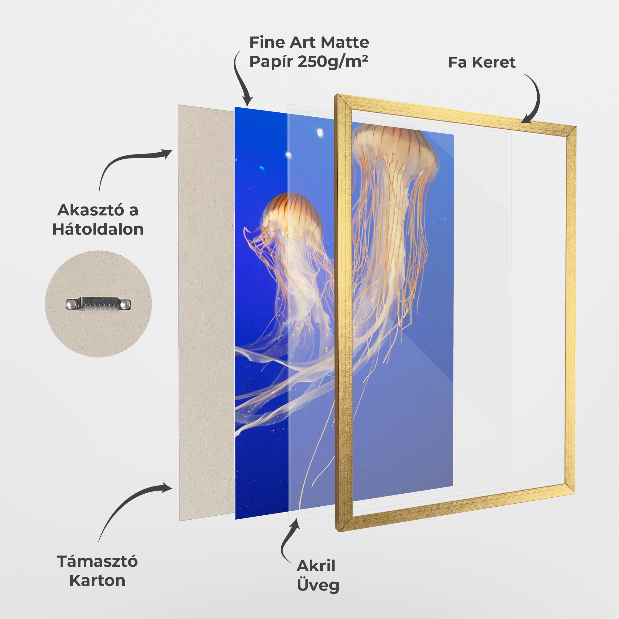 Light Orange Jellyfish mockup 1