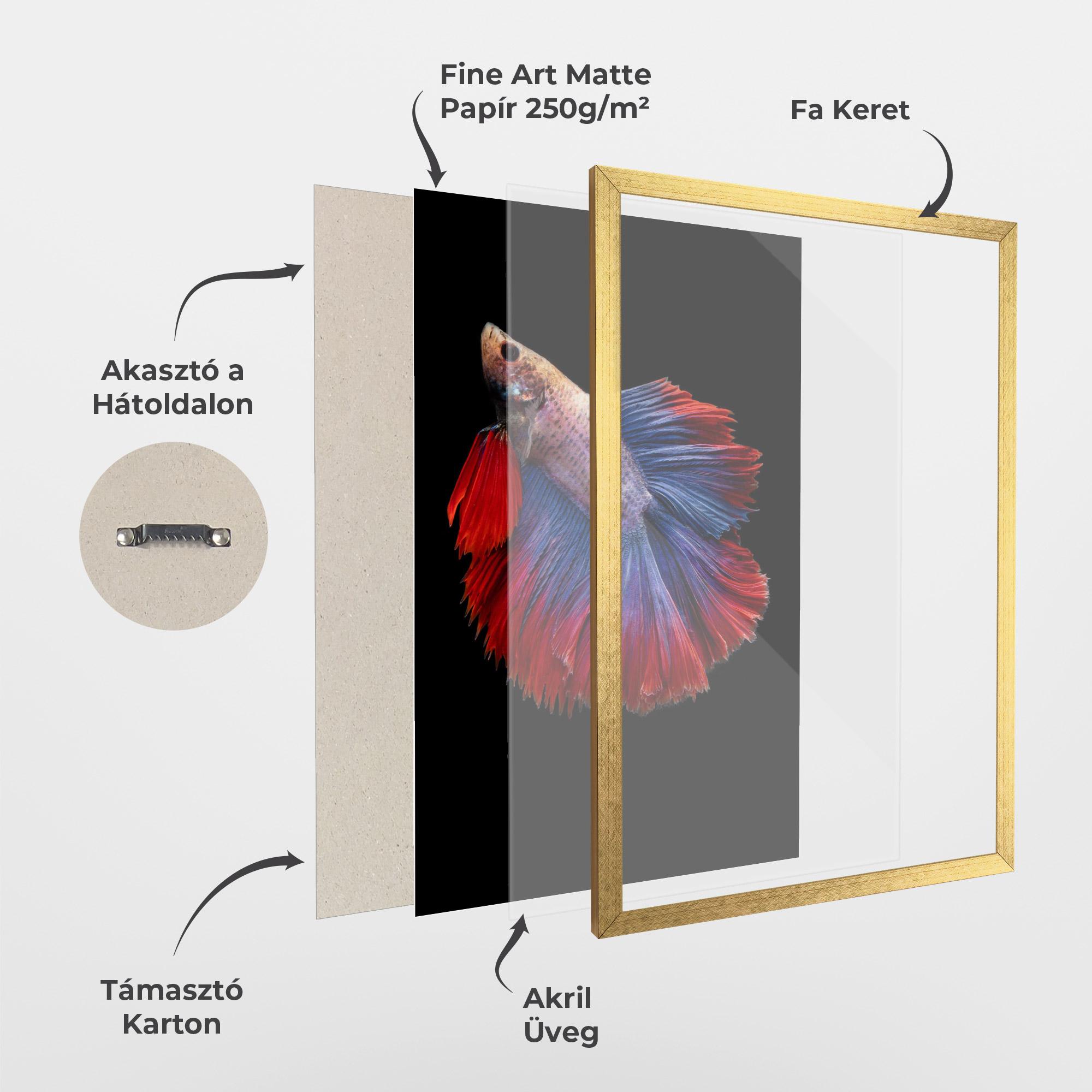 Keretezett Poszter Red Blue Betta mockup 1