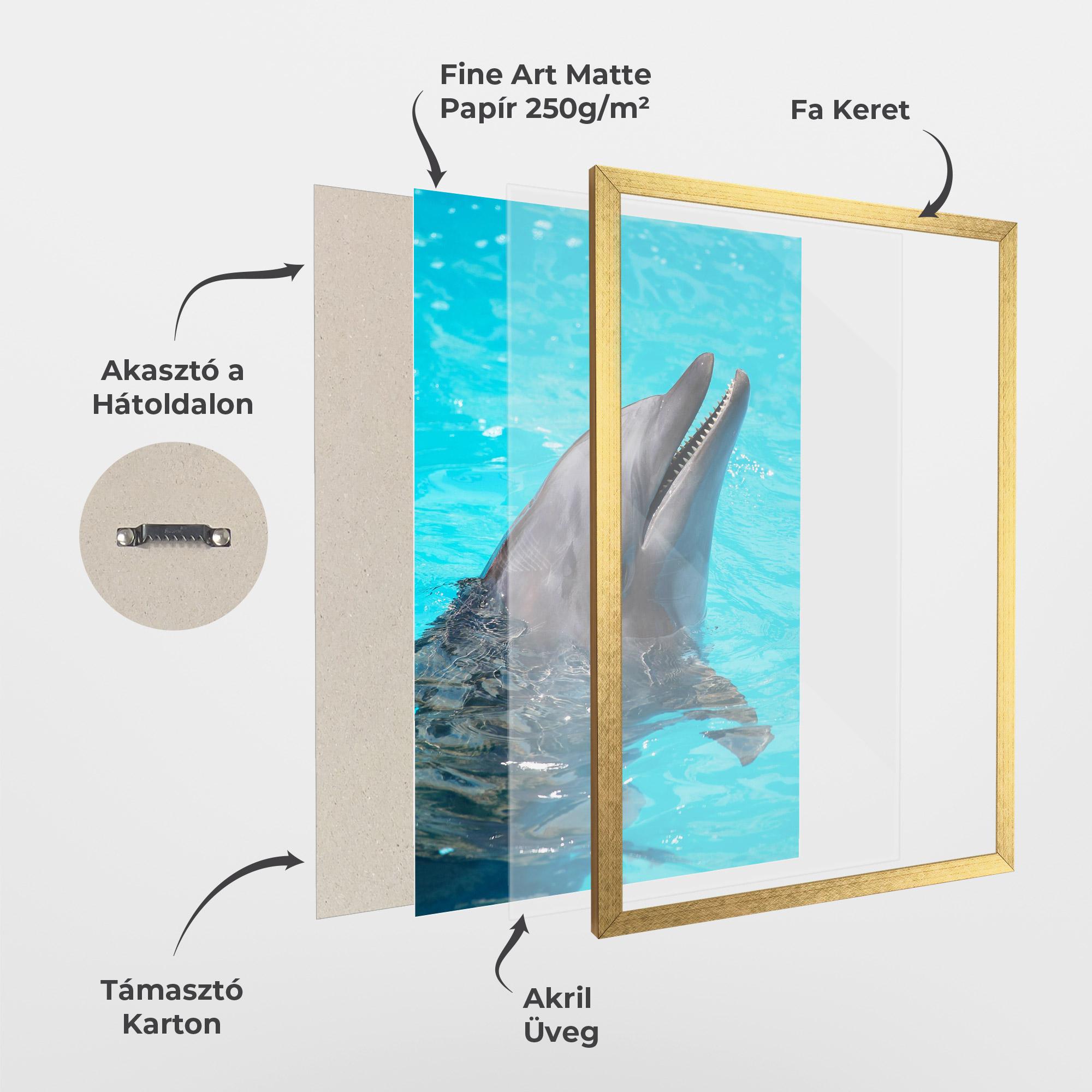 Keretezett Poszter Trained Dolphin mockup 1
