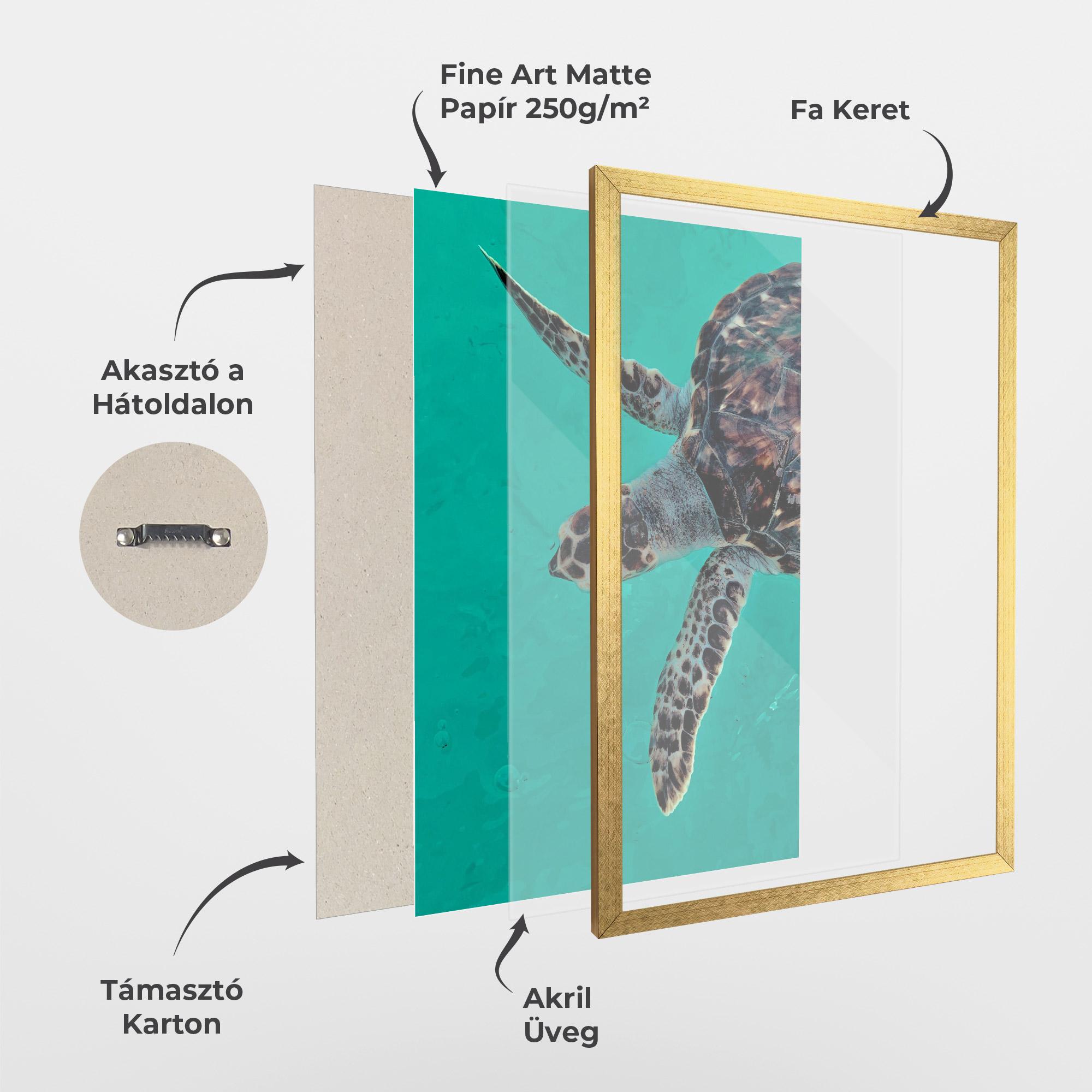 Keretezett Poszter Turtle Sweeming mockup 1