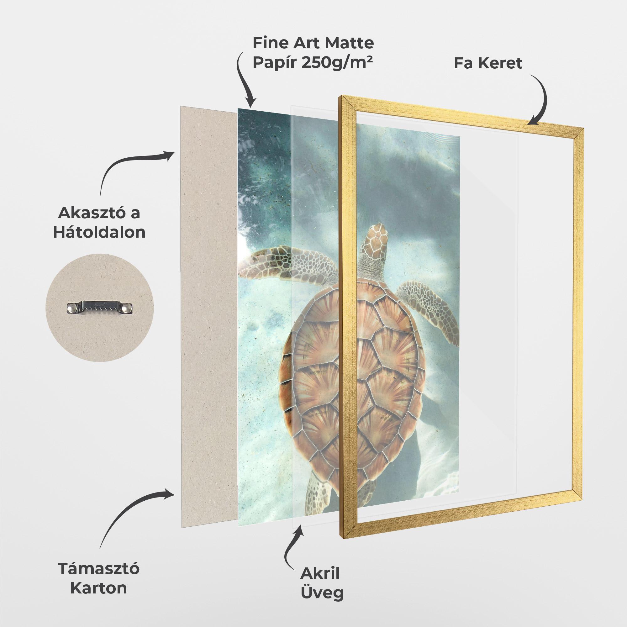 Keretezett Poszter Water Tortoise mockup 1