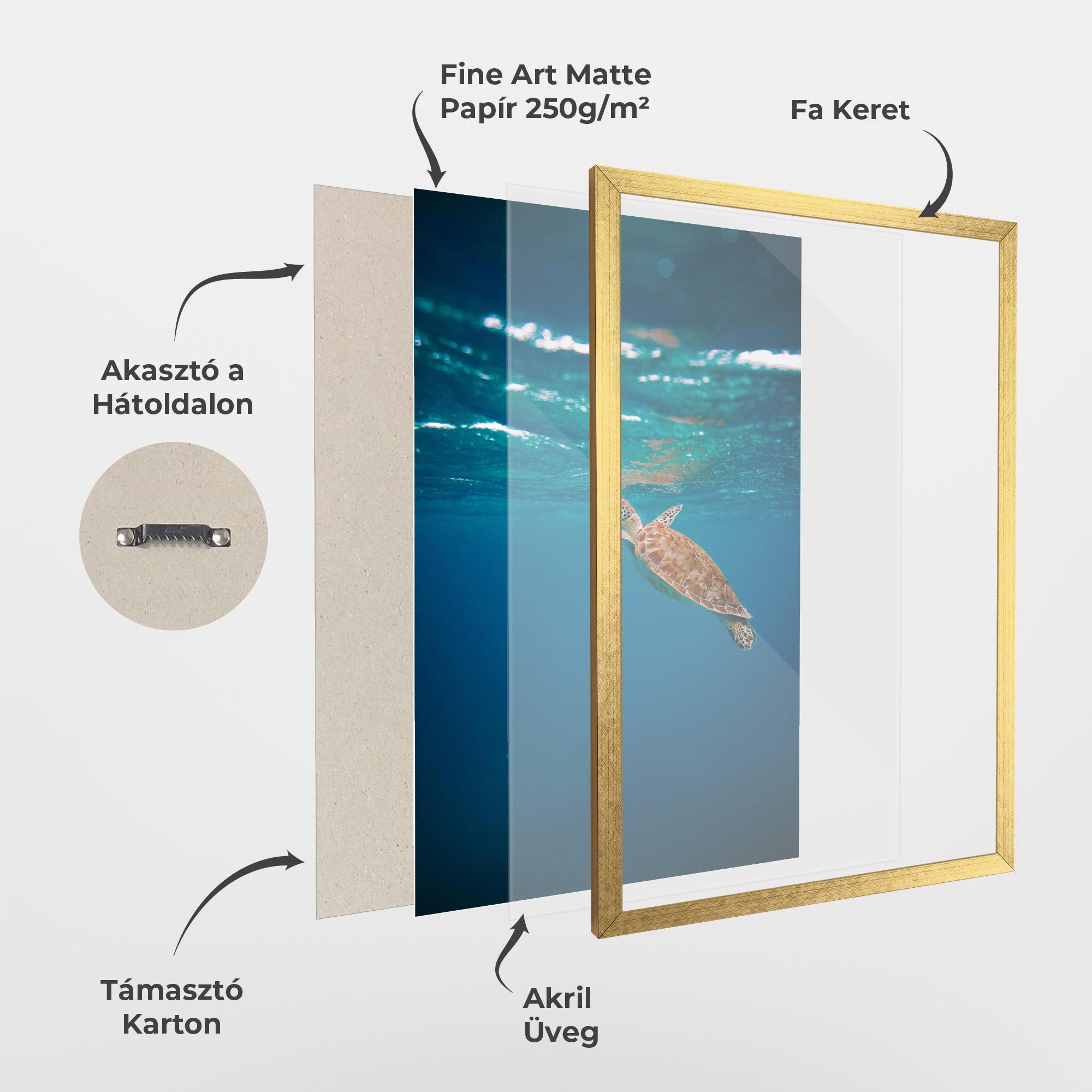 Keretezett Poszter Water Turtle mockup 1