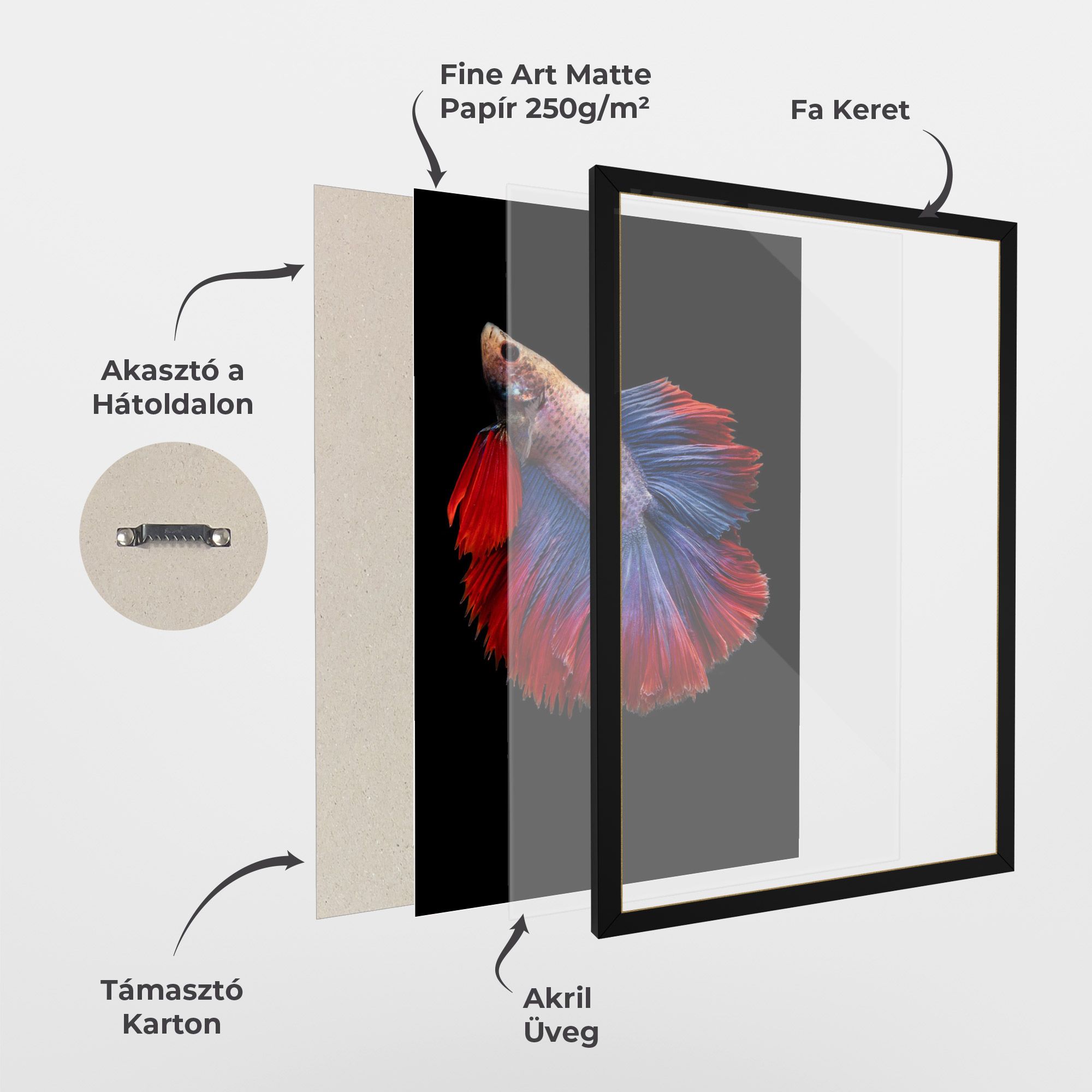 Red Blue Betta mockup 1