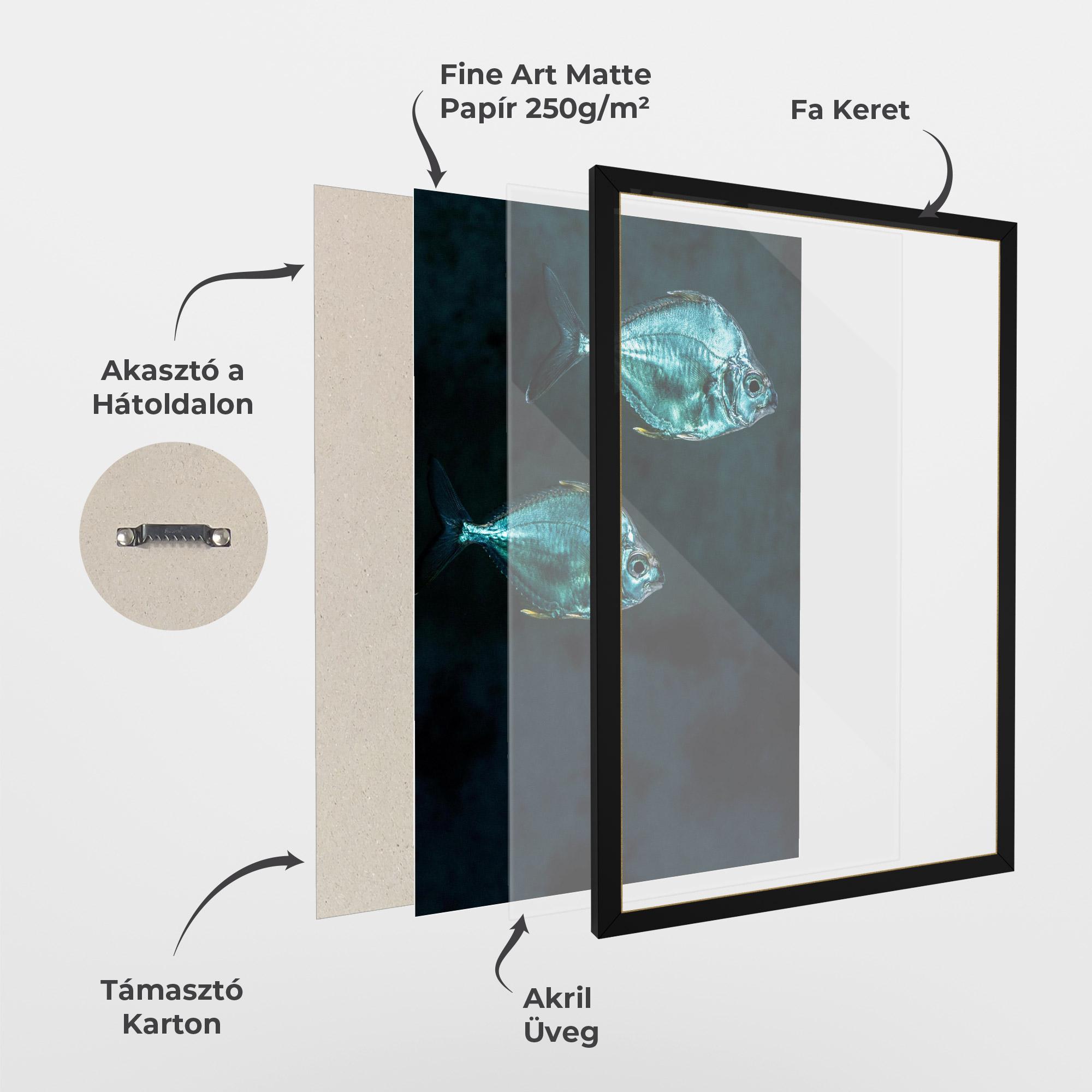 Keretezett Poszter Silver Fish mockup 1