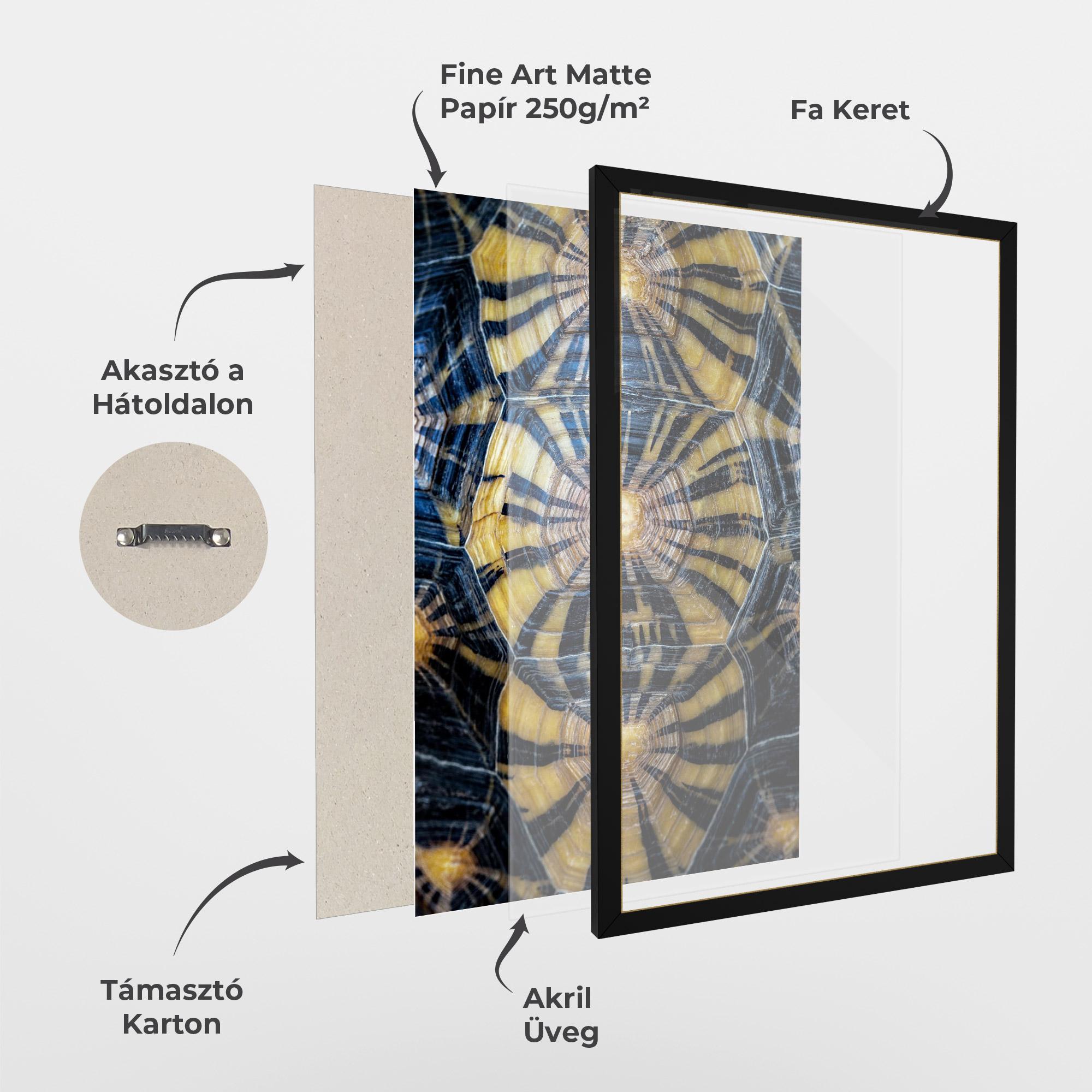 Keretezett Poszter Turtle Shell mockup 1