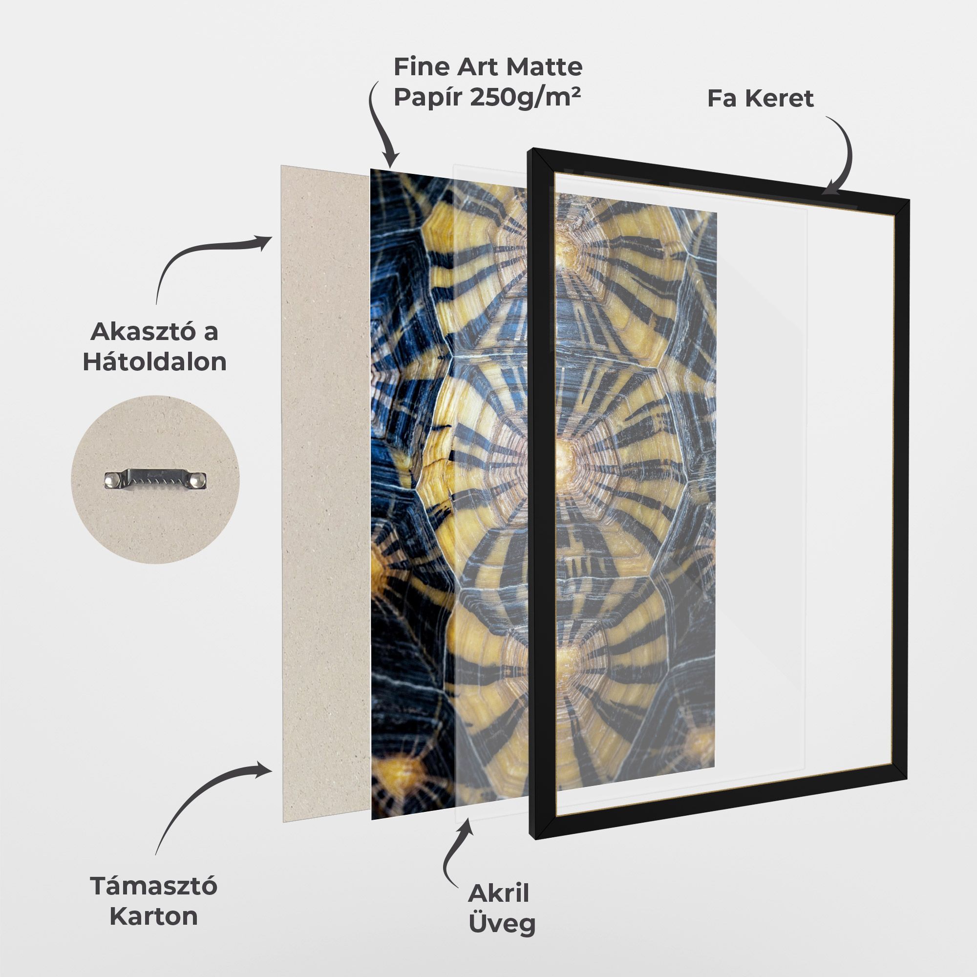 Turtle Shell mockup 1