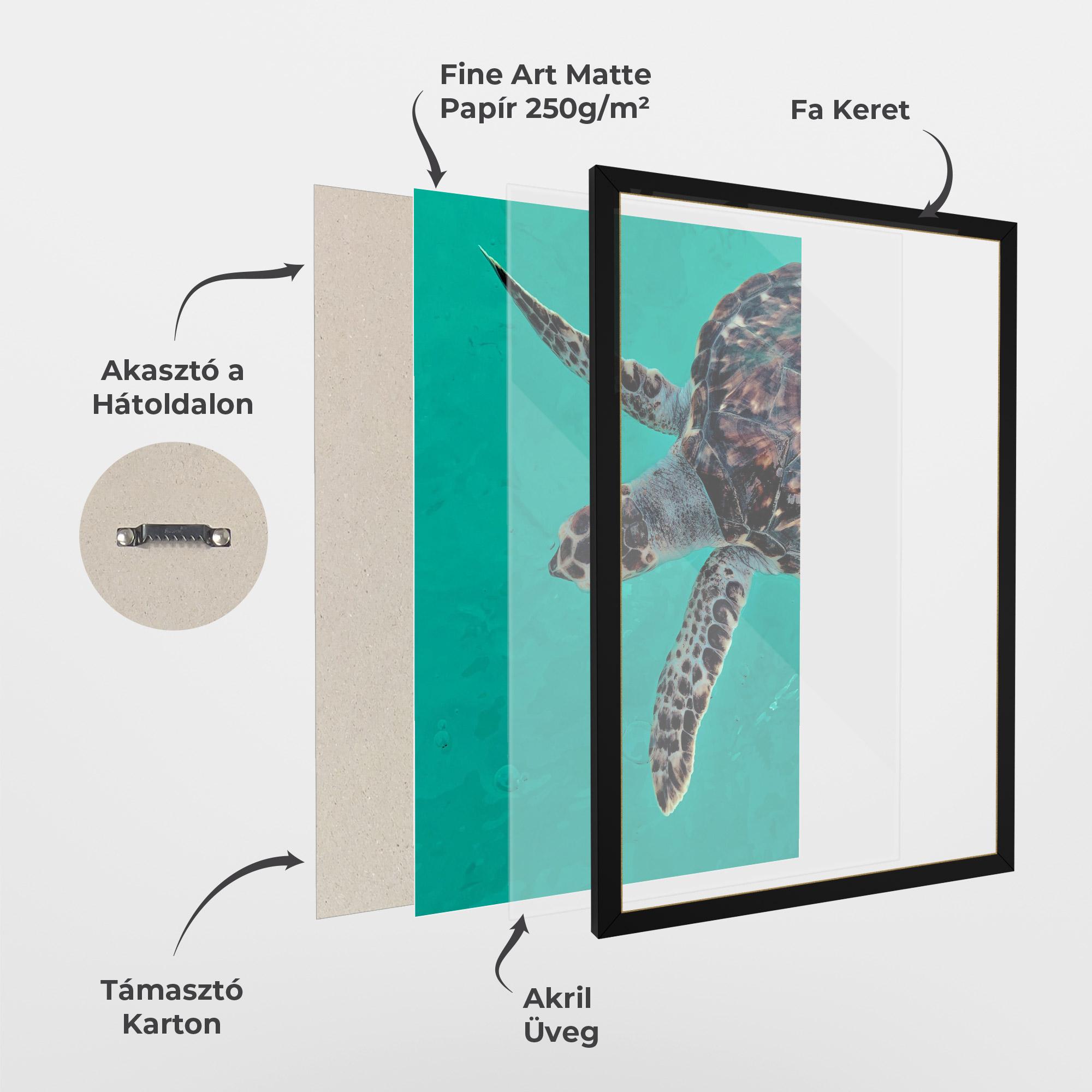 Keretezett Poszter Turtle Sweeming mockup 1