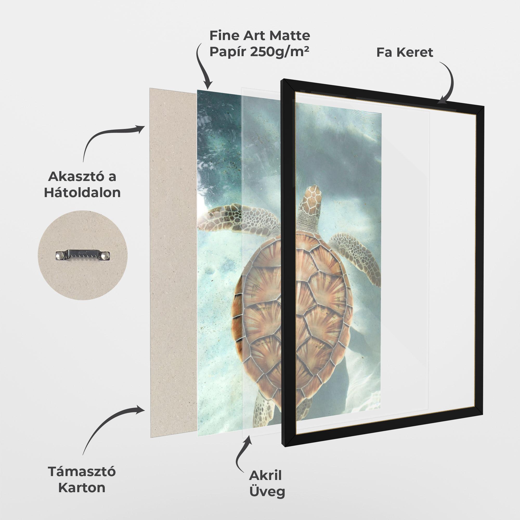 Keretezett Poszter Water Tortoise mockup 1
