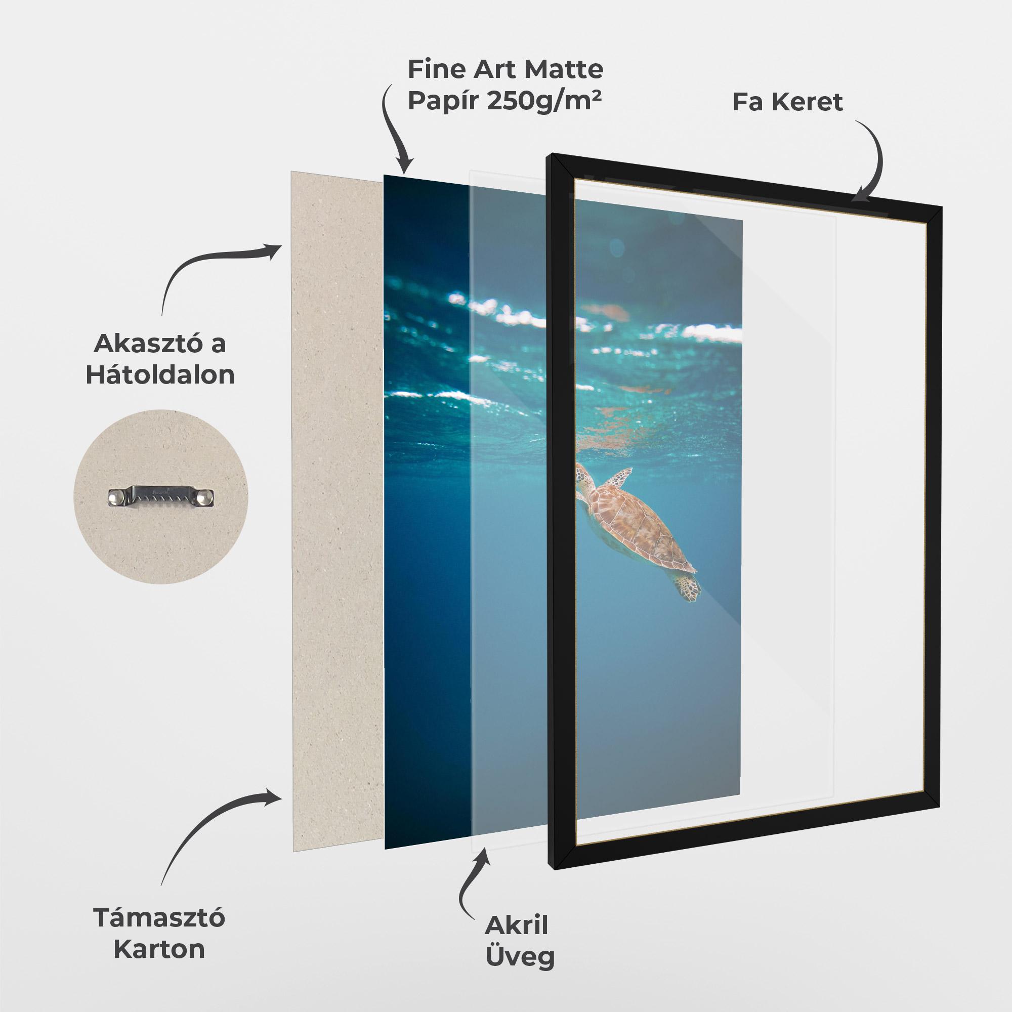Keretezett Poszter Water Turtle mockup 1