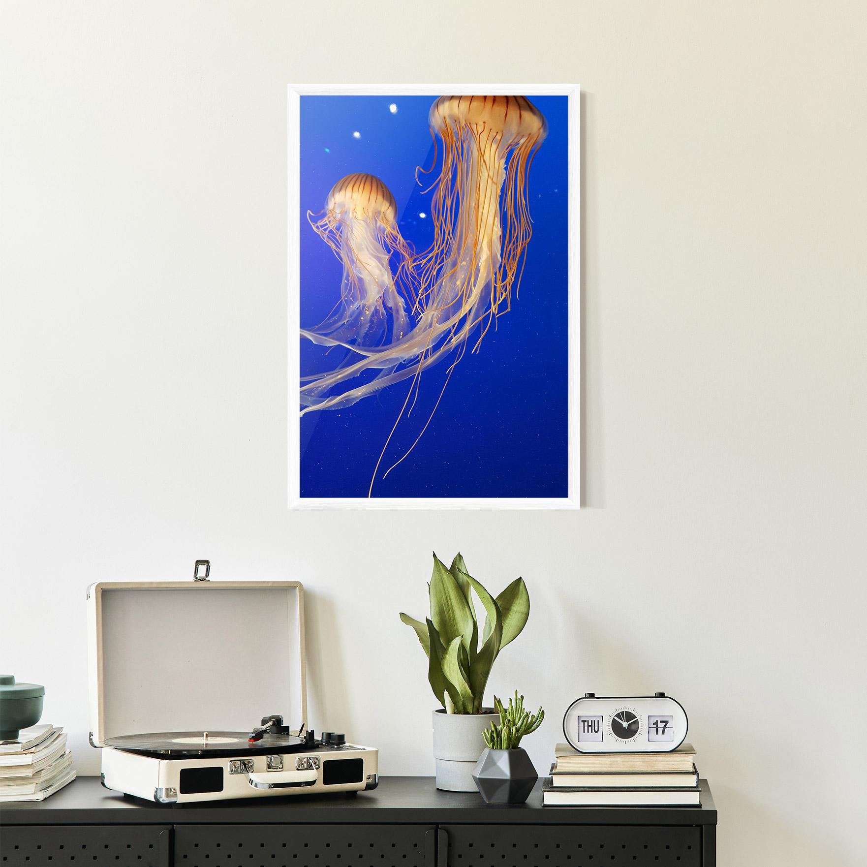Keretezett Poszter Light Orange Jellyfish mockup 2