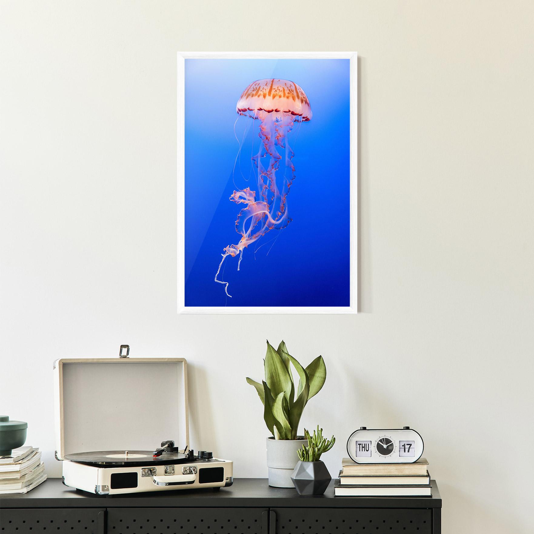 Keretezett Poszter Pretty White Jellyfish mockup 2