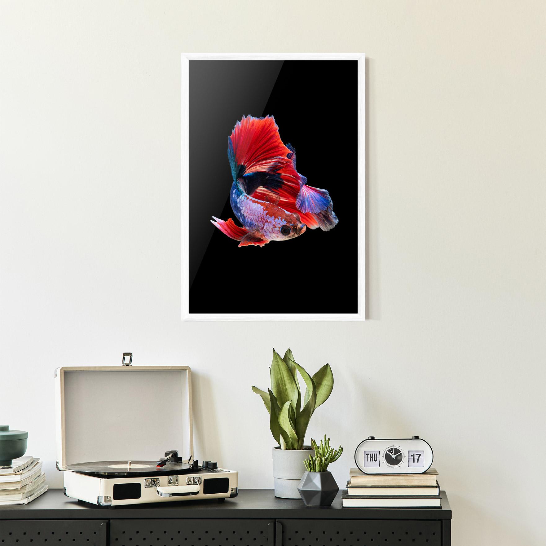 Keretezett Poszter Red Black Betta mockup 2