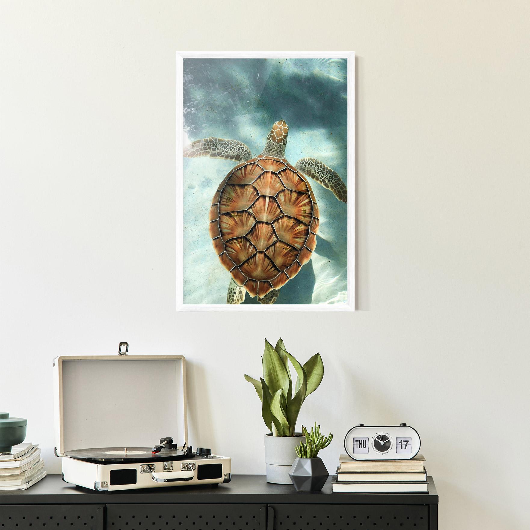 Keretezett Poszter Water Tortoise mockup 2