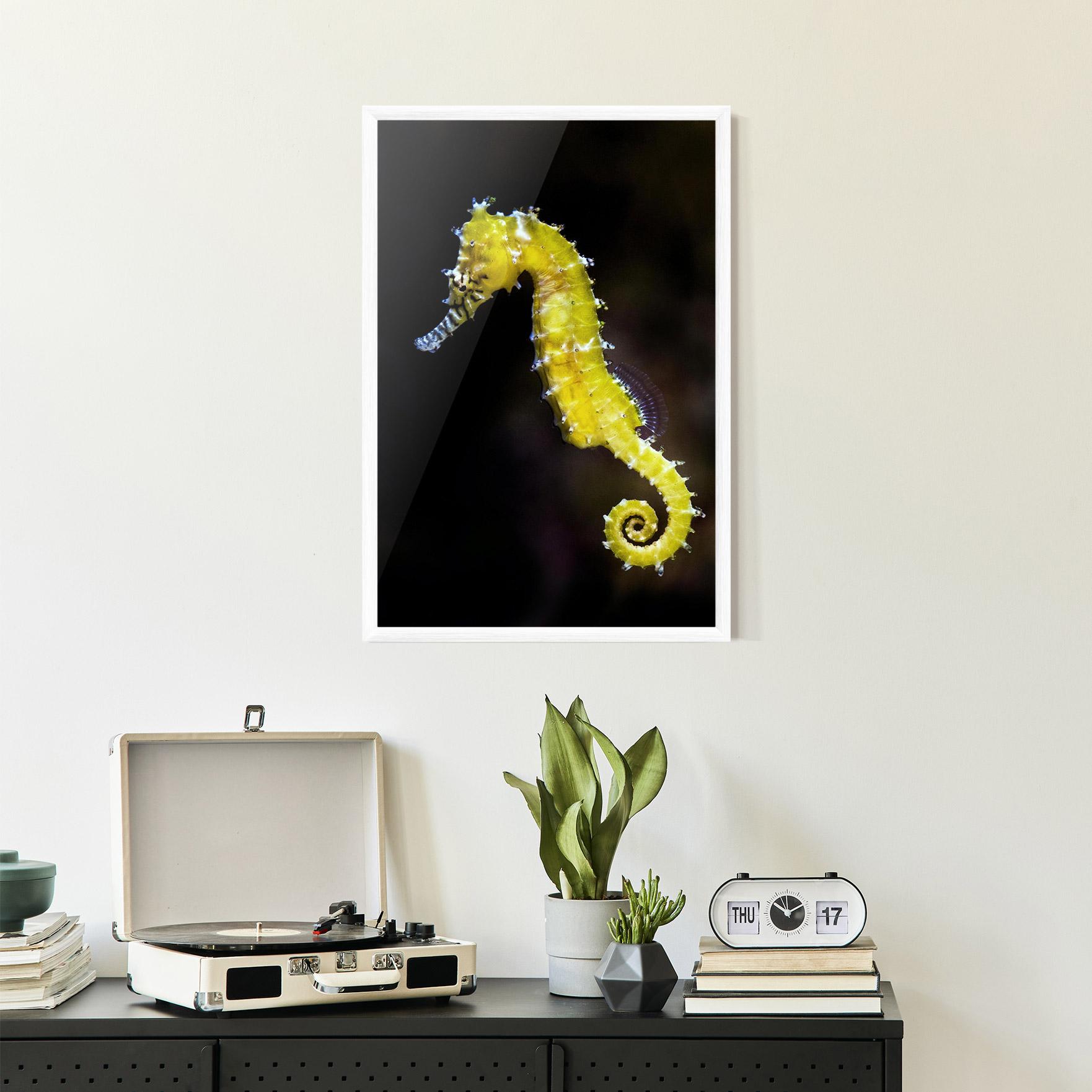 Keretezett Poszter Yellow Seahorse mockup 2
