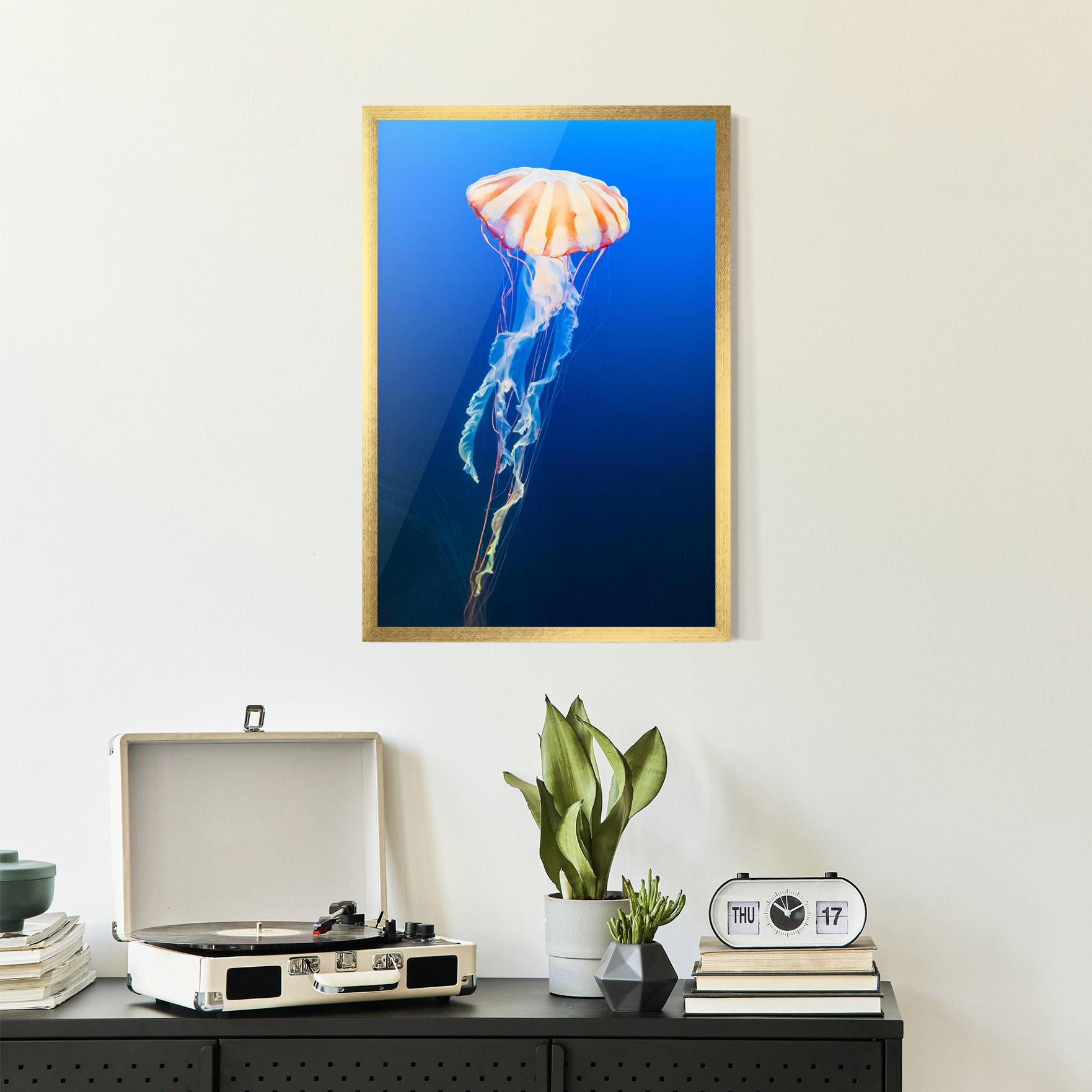 Keretezett Poszter Cream Jellyfish mockup 2