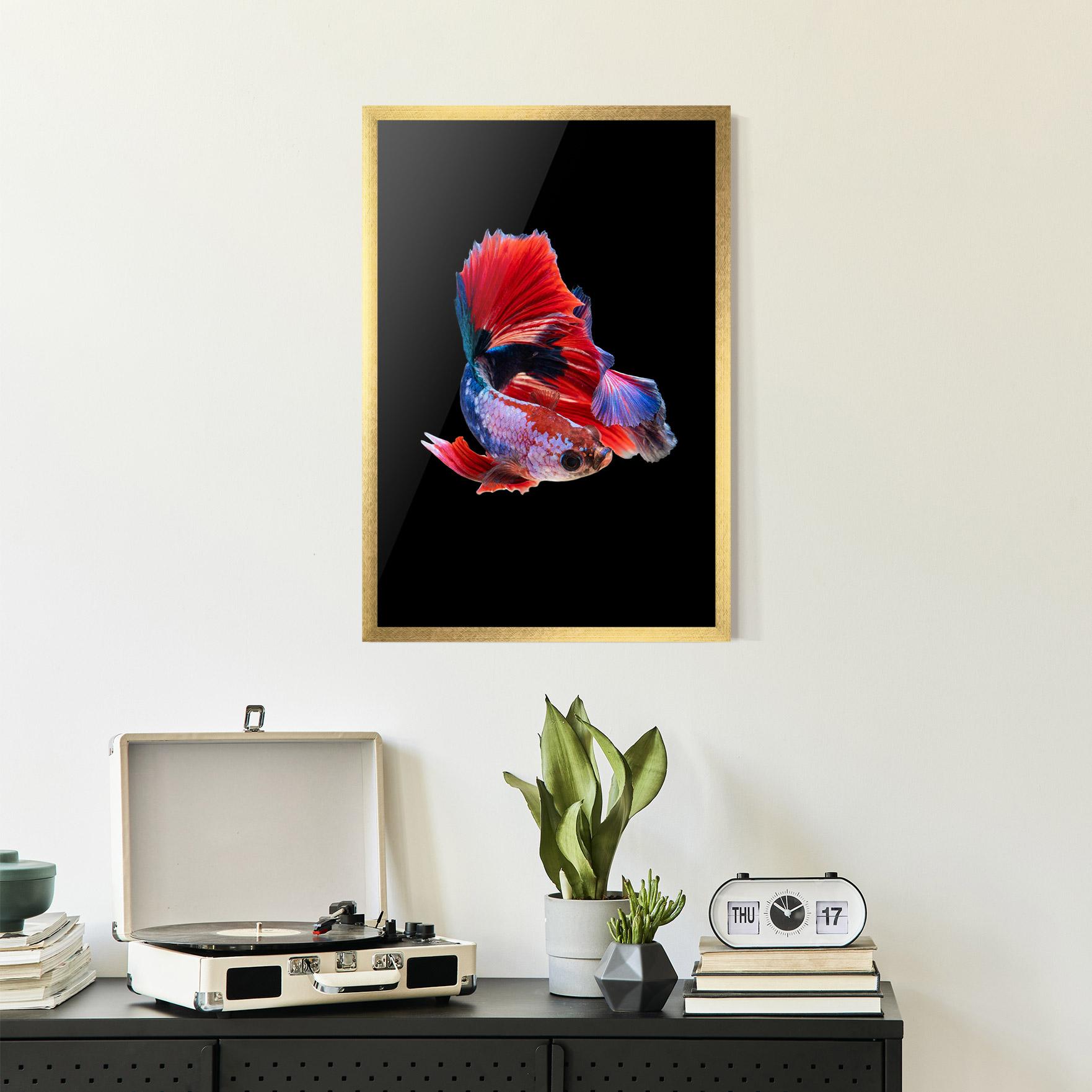 Keretezett Poszter Red Black Betta mockup 2