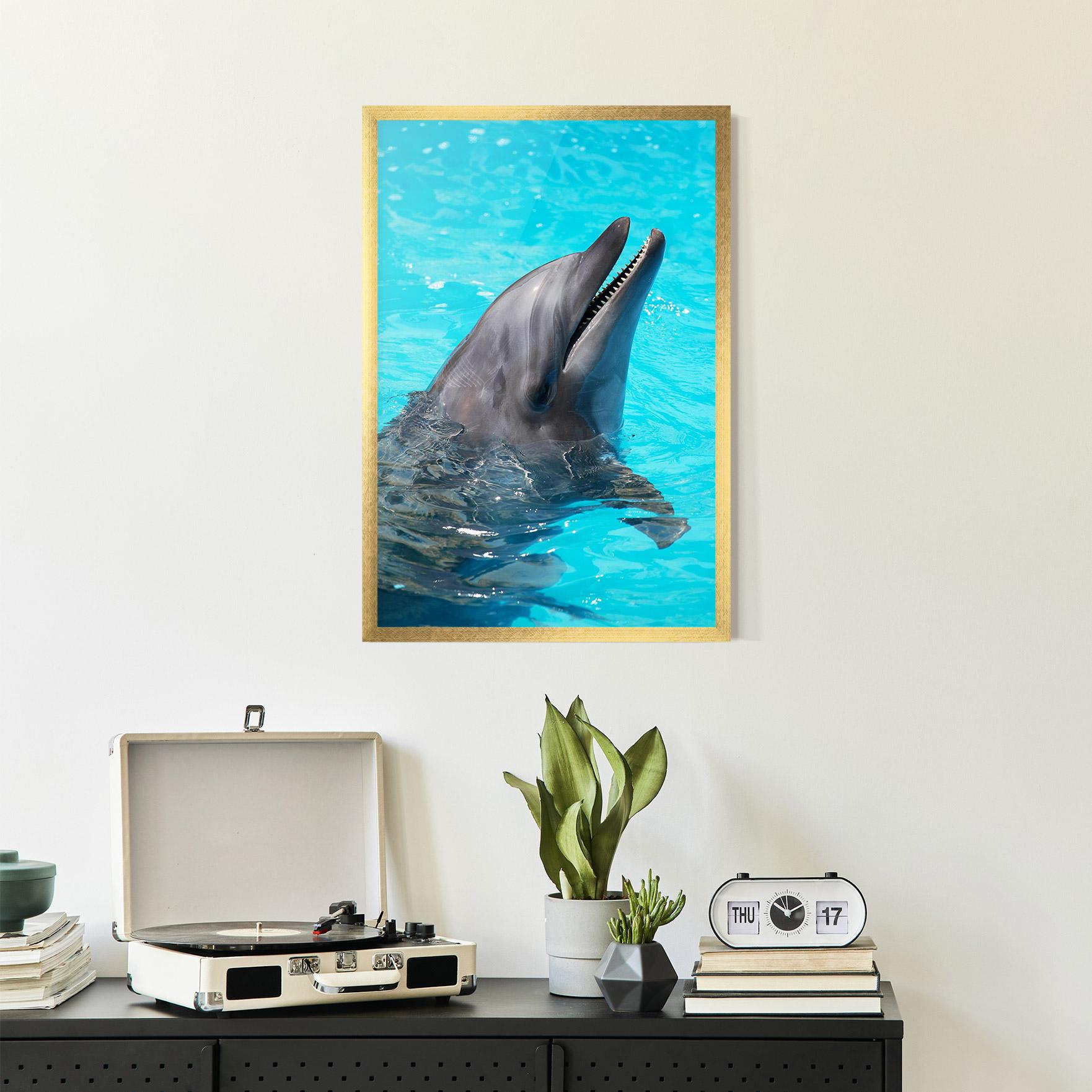 Keretezett Poszter Trained Dolphin mockup 2