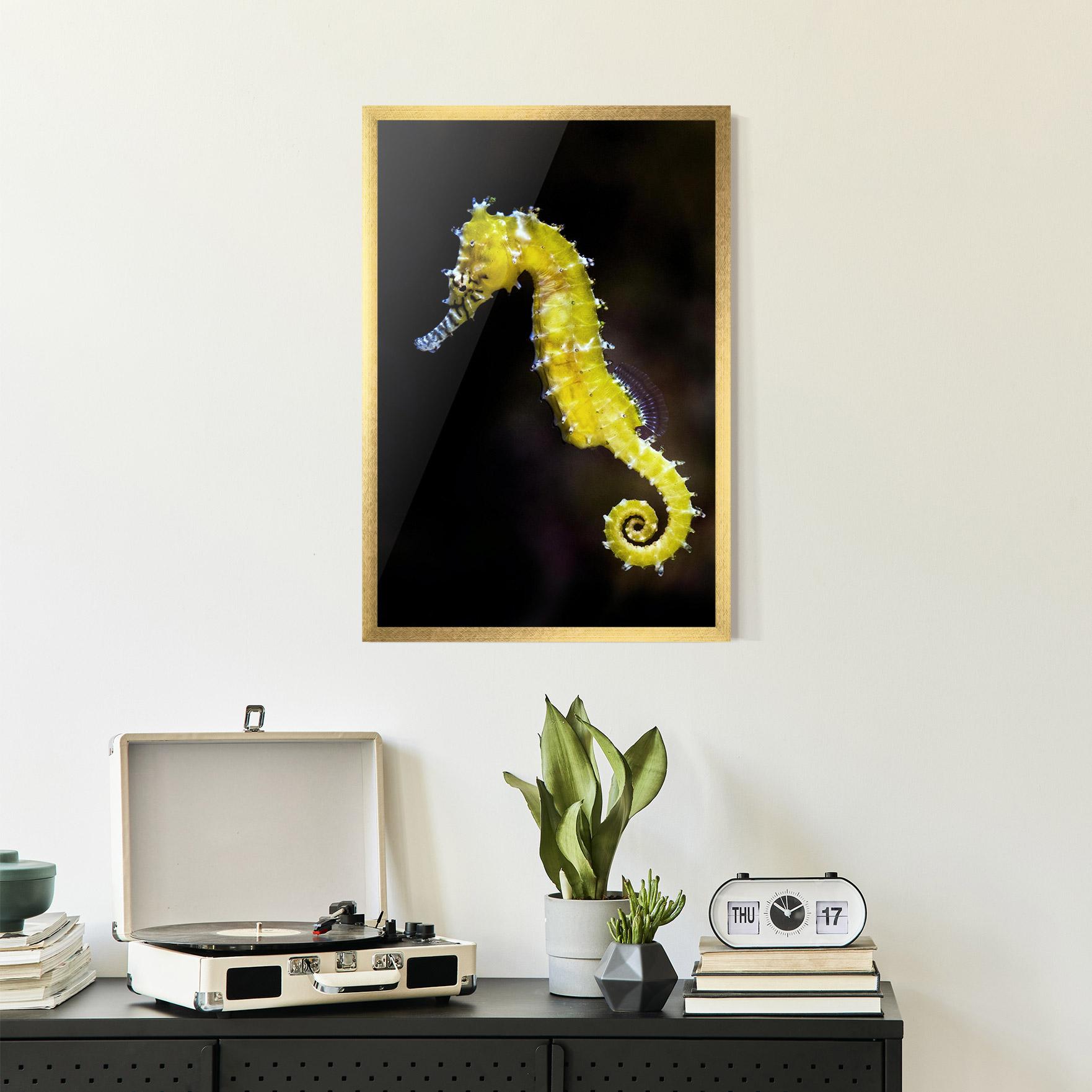 Keretezett Poszter Yellow Seahorse mockup 2