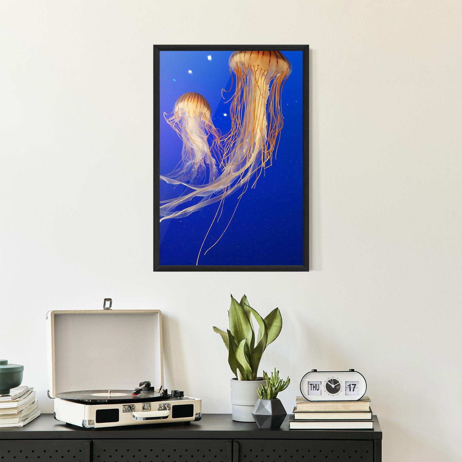 Keretezett Poszter Light Orange Jellyfish mockup 2