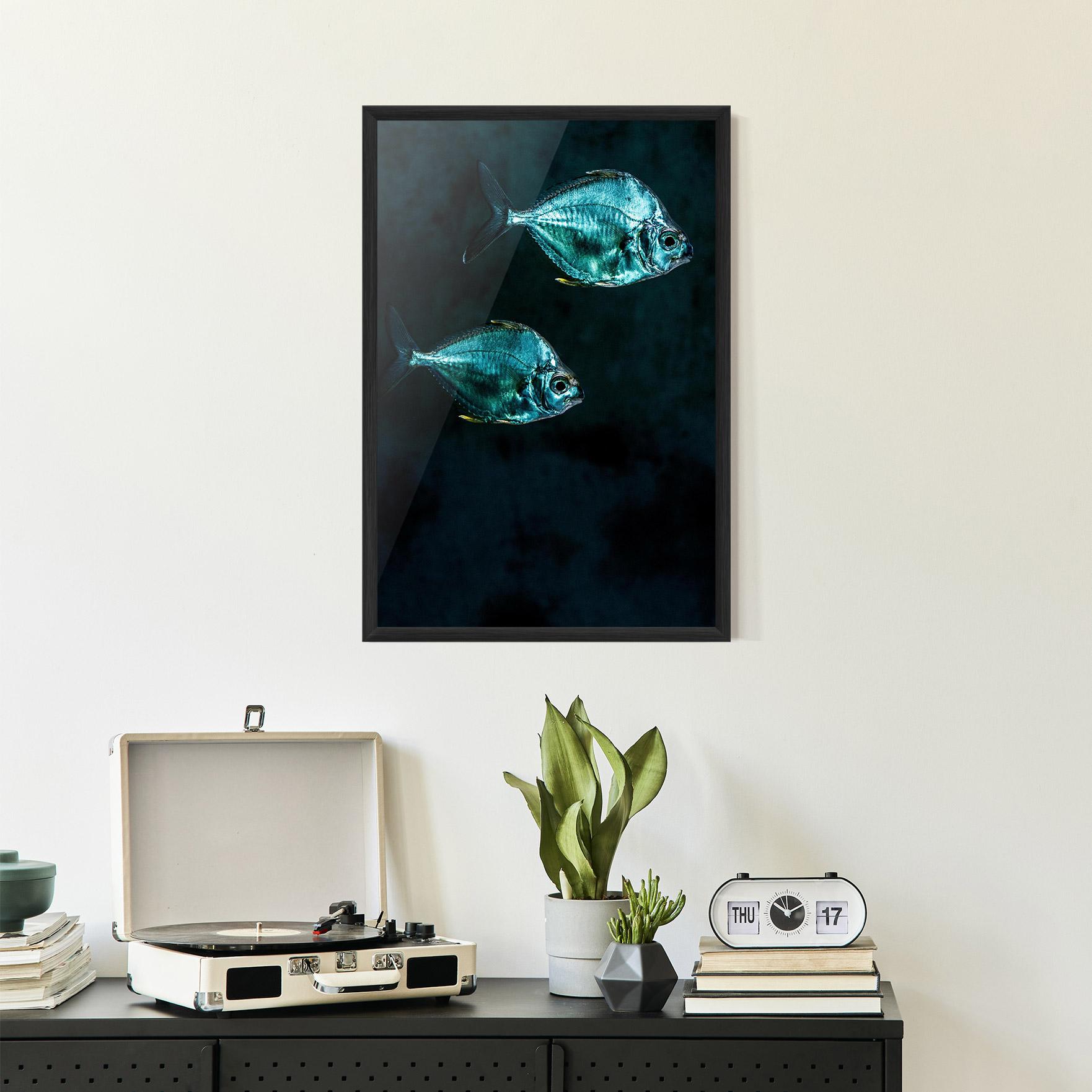 Keretezett Poszter Silver Fish mockup 2