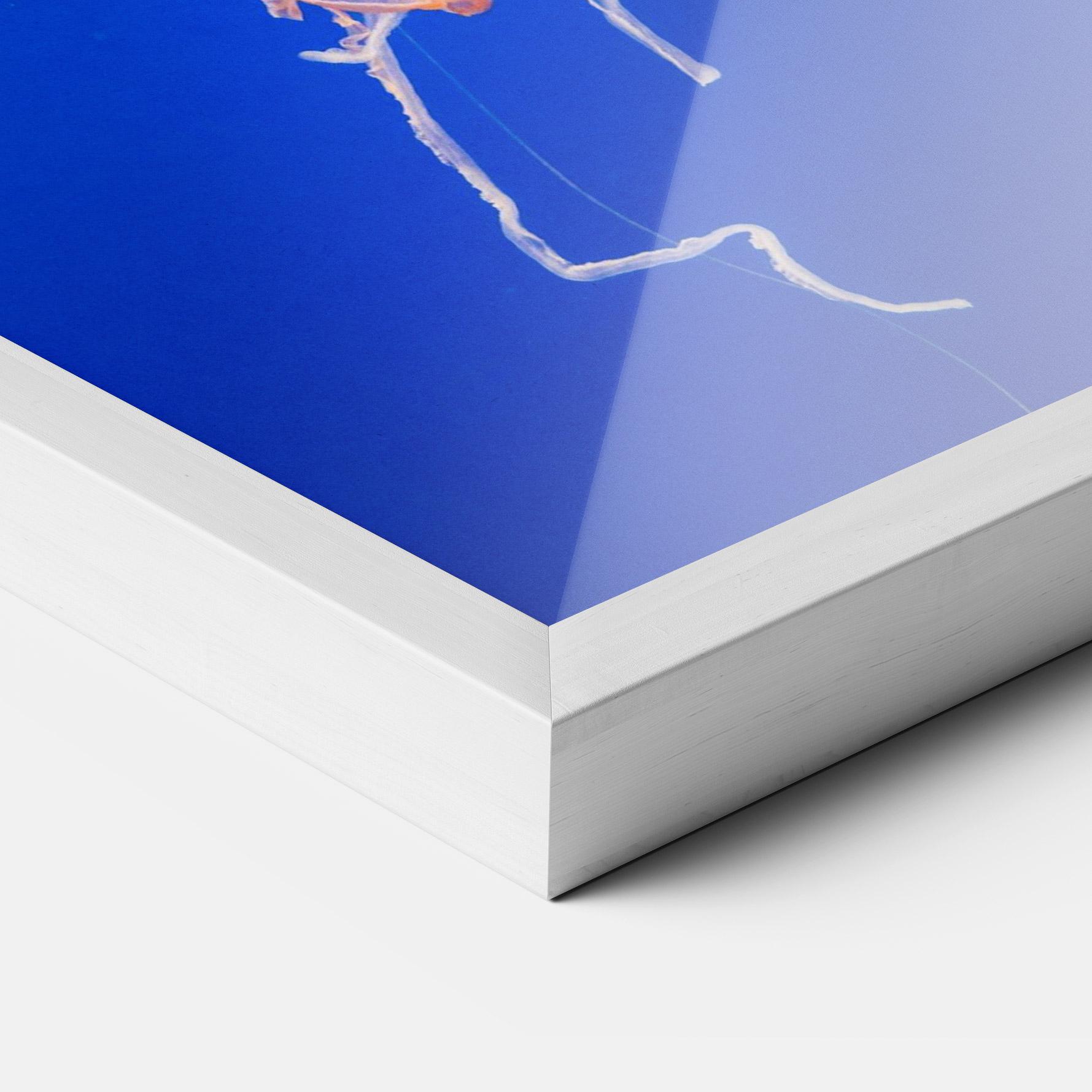Keretezett Poszter Pretty White Jellyfish mockup 3