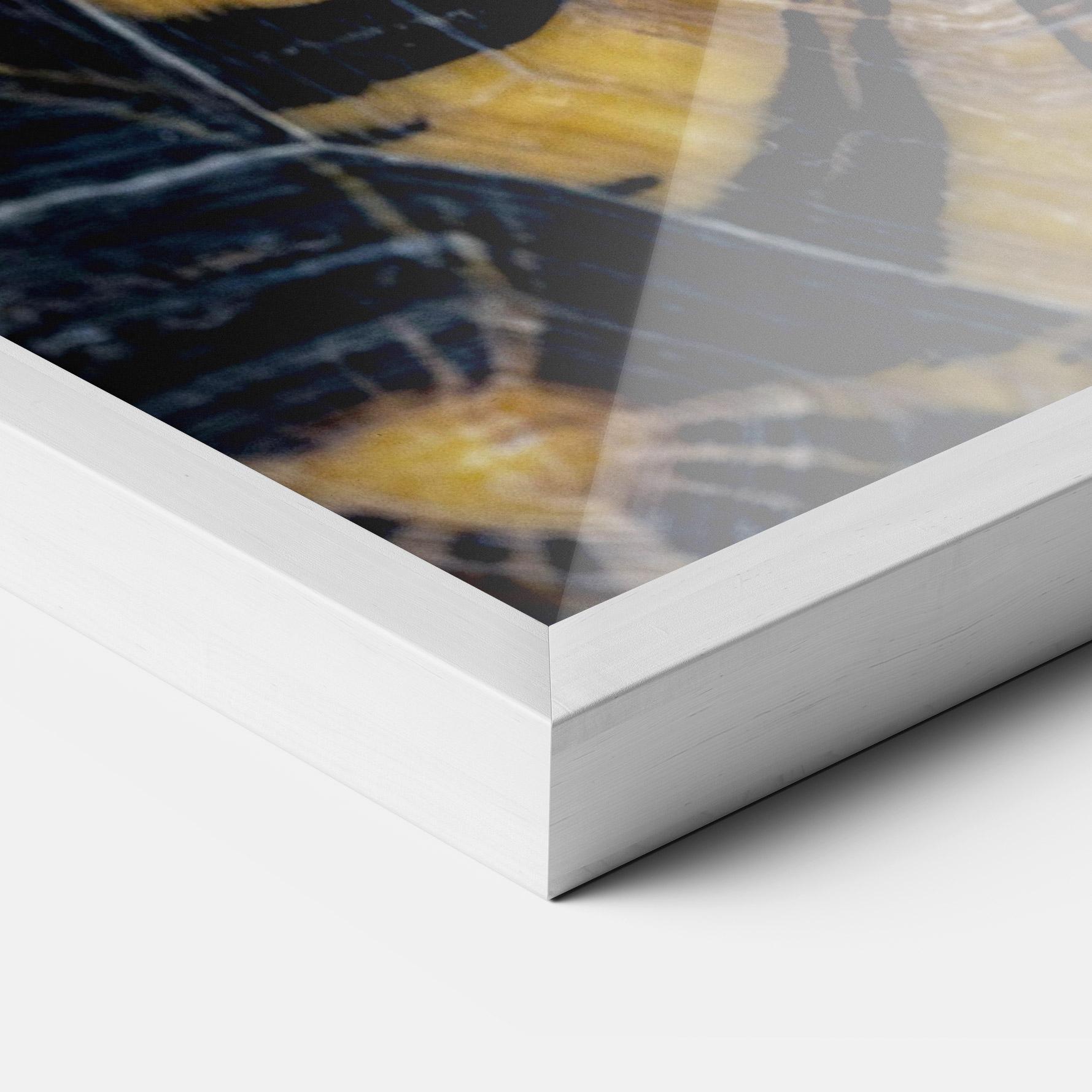 Keretezett Poszter Turtle Shell mockup 3