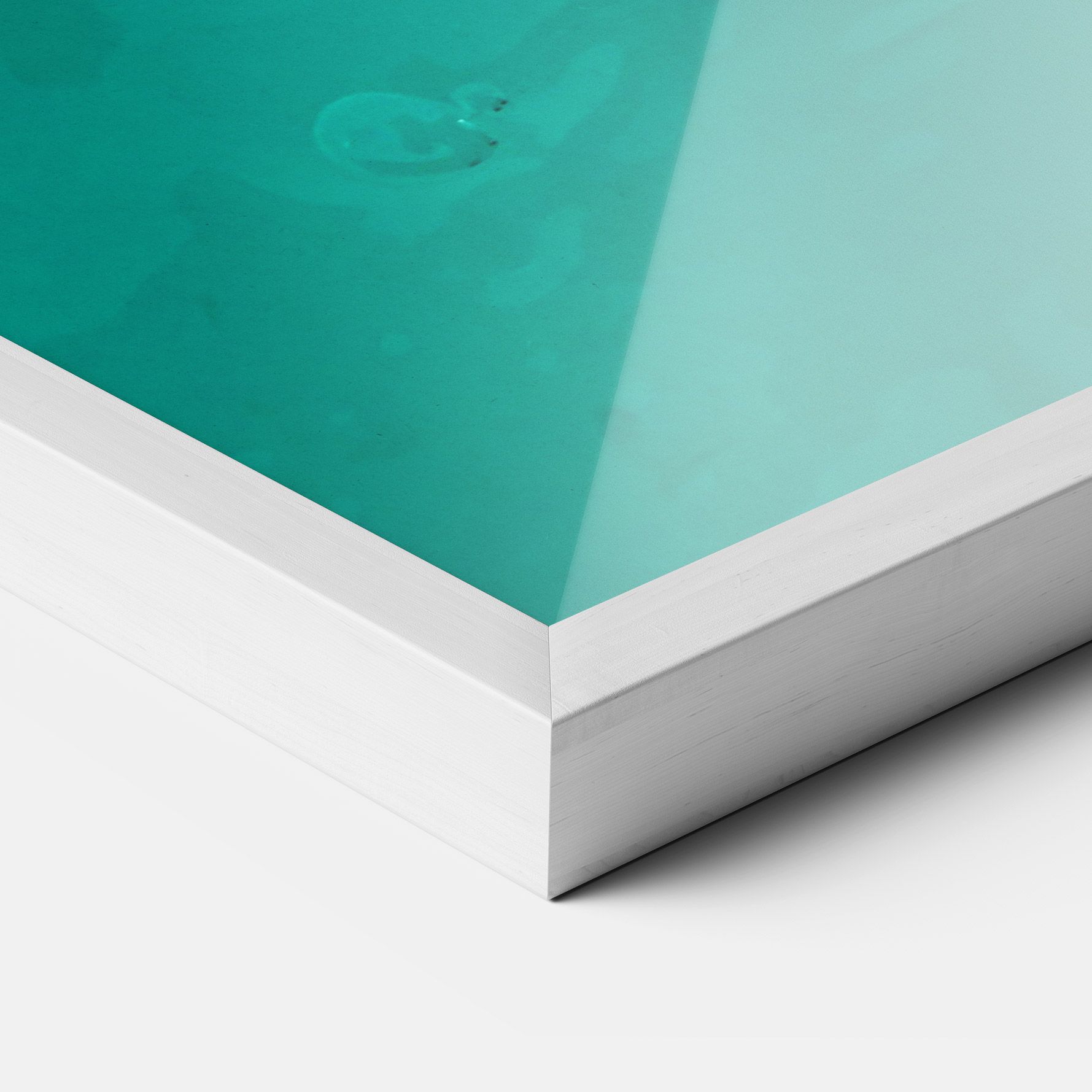 Turtle Sweeming mockup 3