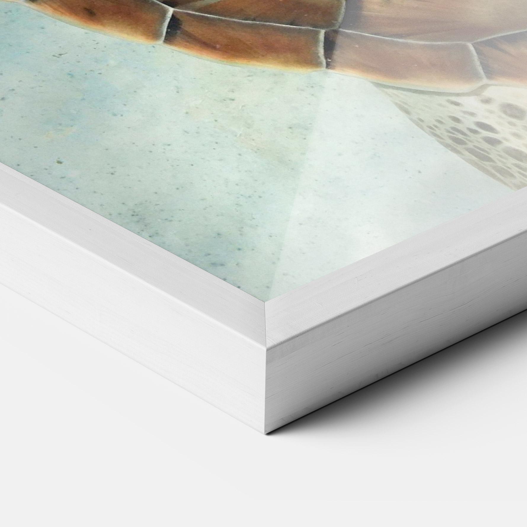 Keretezett Poszter Water Tortoise mockup 3